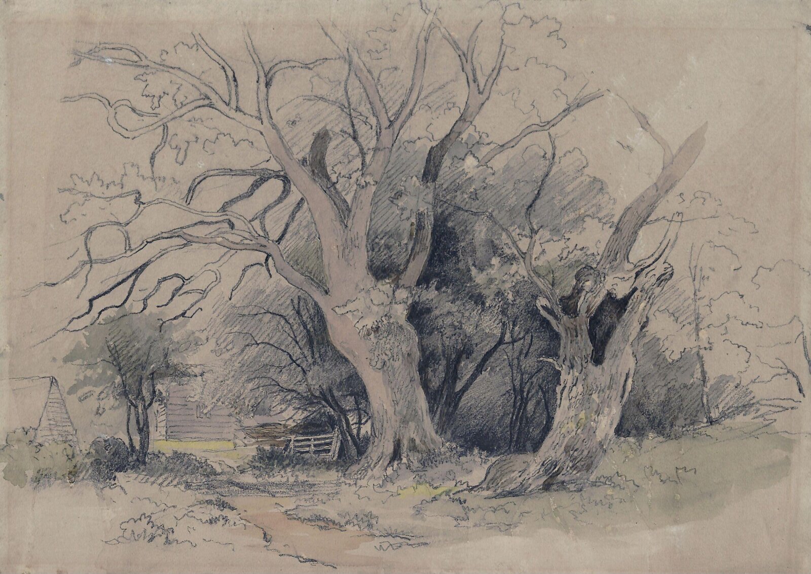 Oak trees, James Stark, ca. 1825-1850