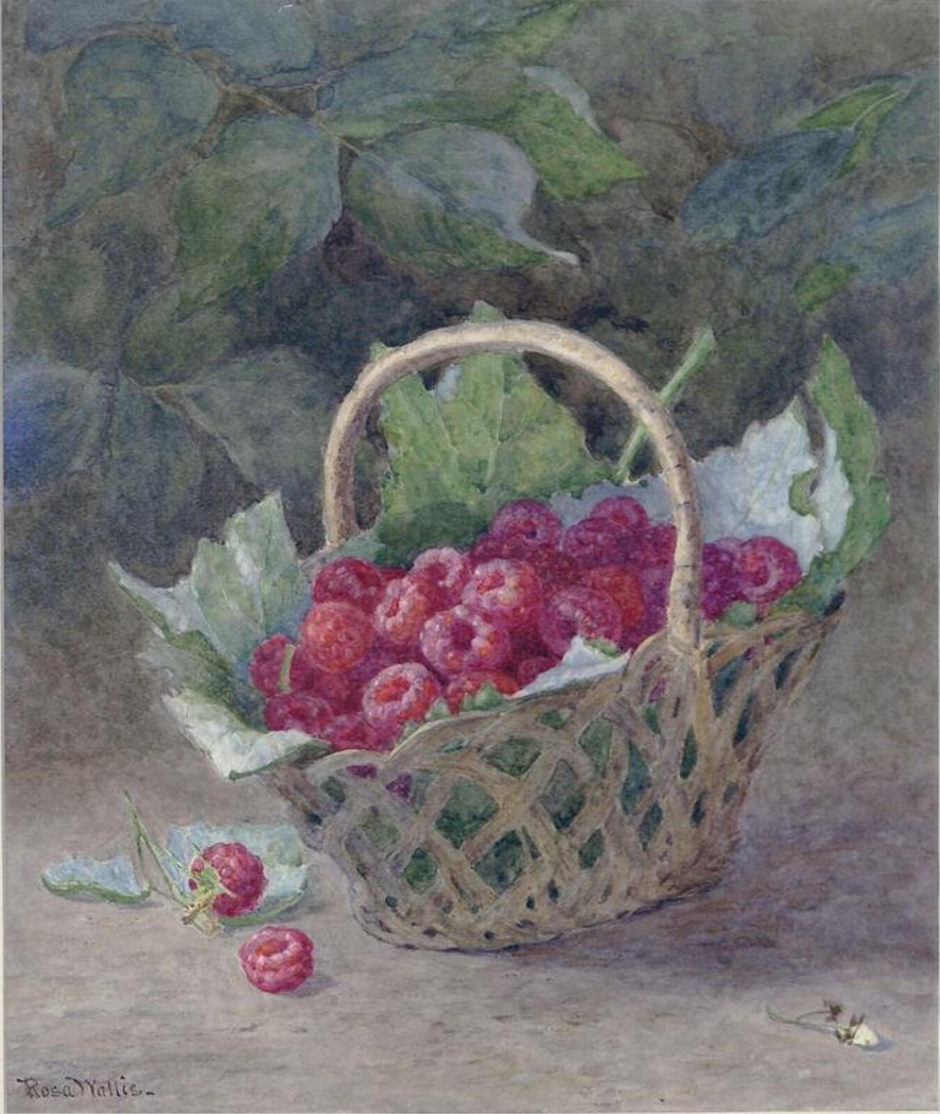 Raspberries, Rosa Wallis, ca. 1880-1930