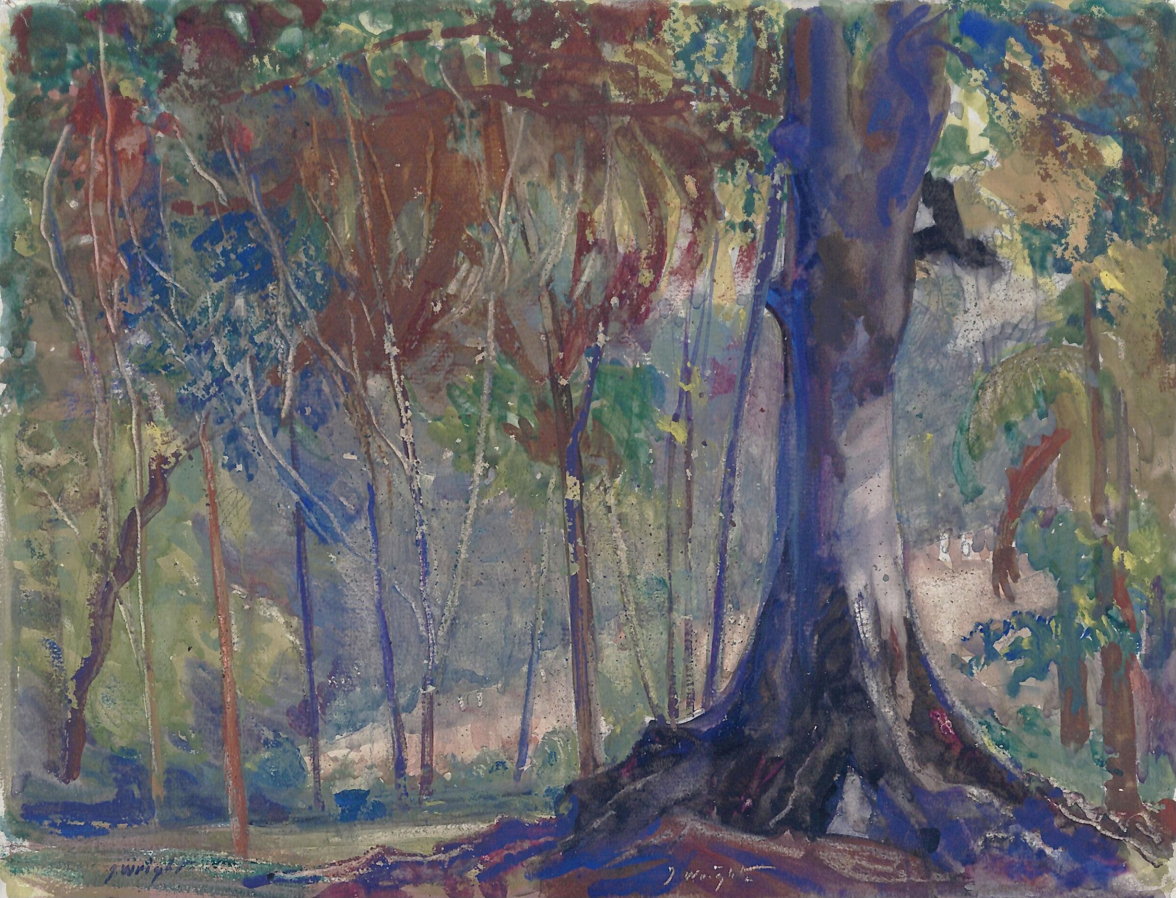 Almond Grove, Island of St. Christopher or St. Kitts, West Indies, John Wright, ca.1890-1930