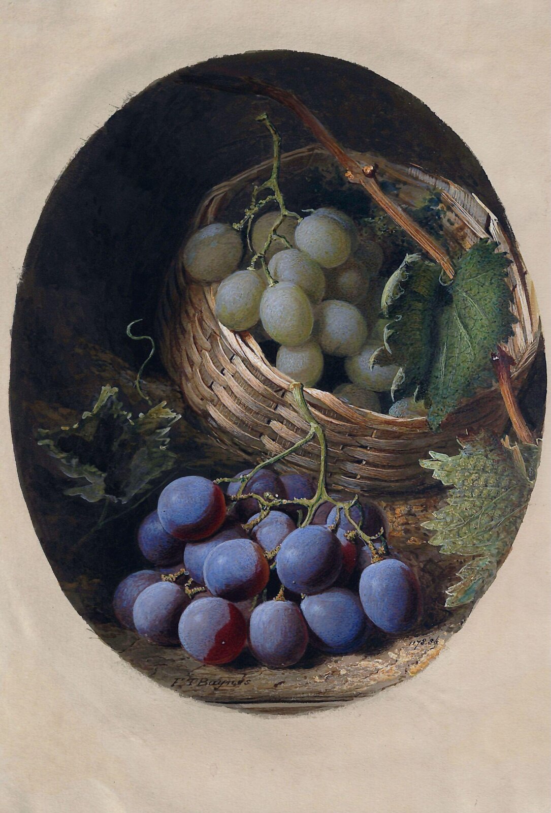 Red and White Grapes, Frederick T. Baynes, ca. 1833-64