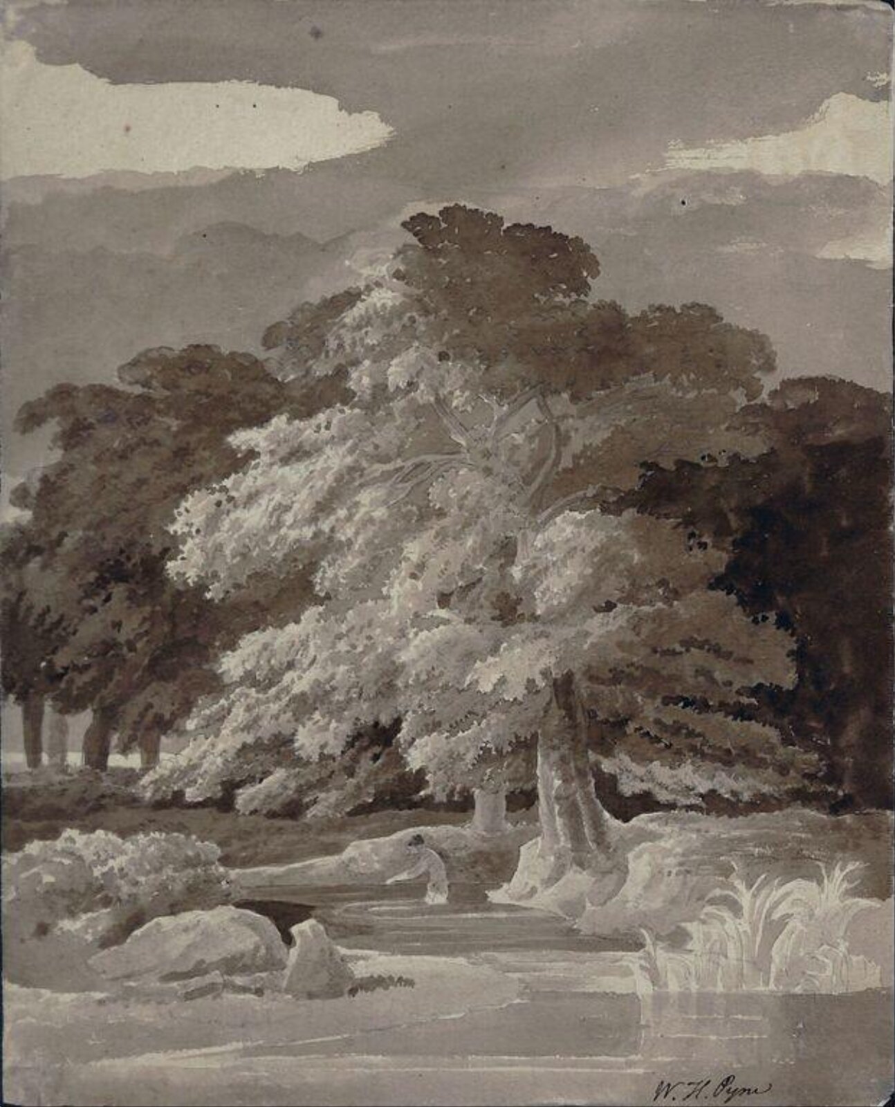 Watercolour