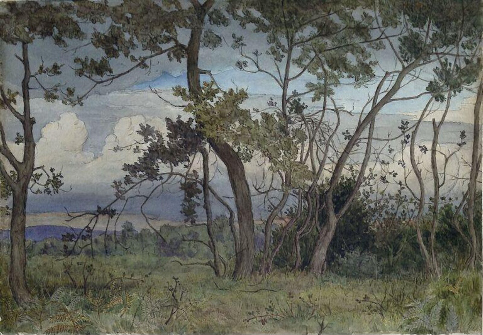 Holmwood, Estella Canziani, 1900-1