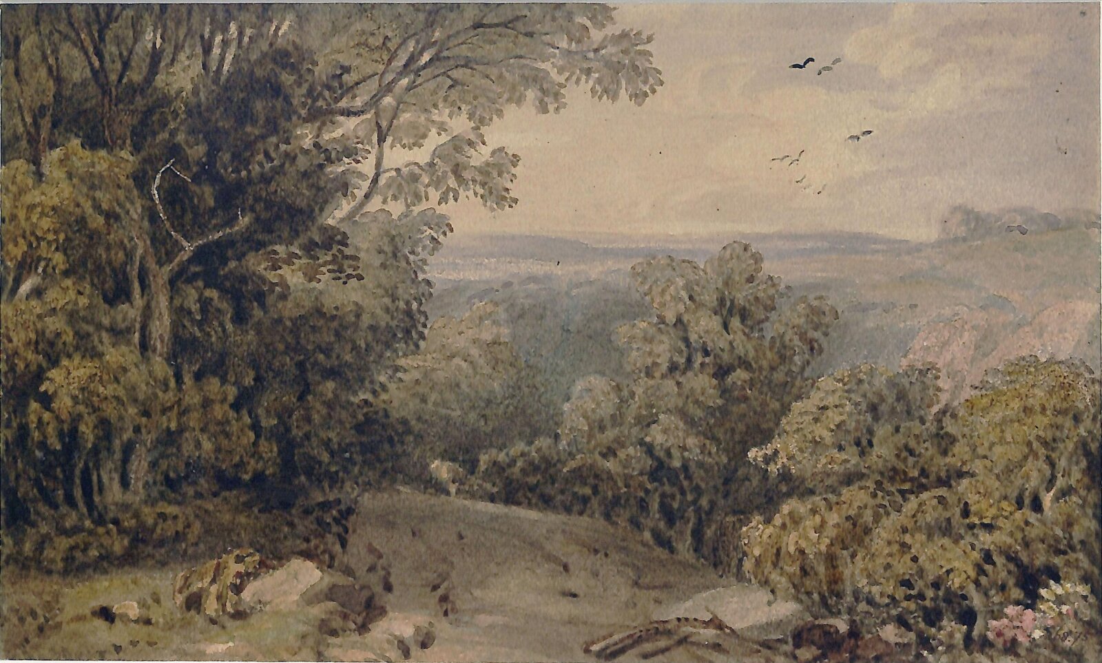 View from Box Hill, Dorking, Dorrell, ca. 1800-59