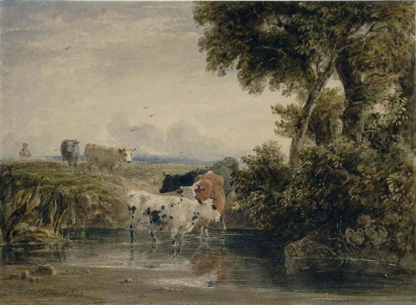 Landscape with cattle (1800-1850) by Thales Fielding