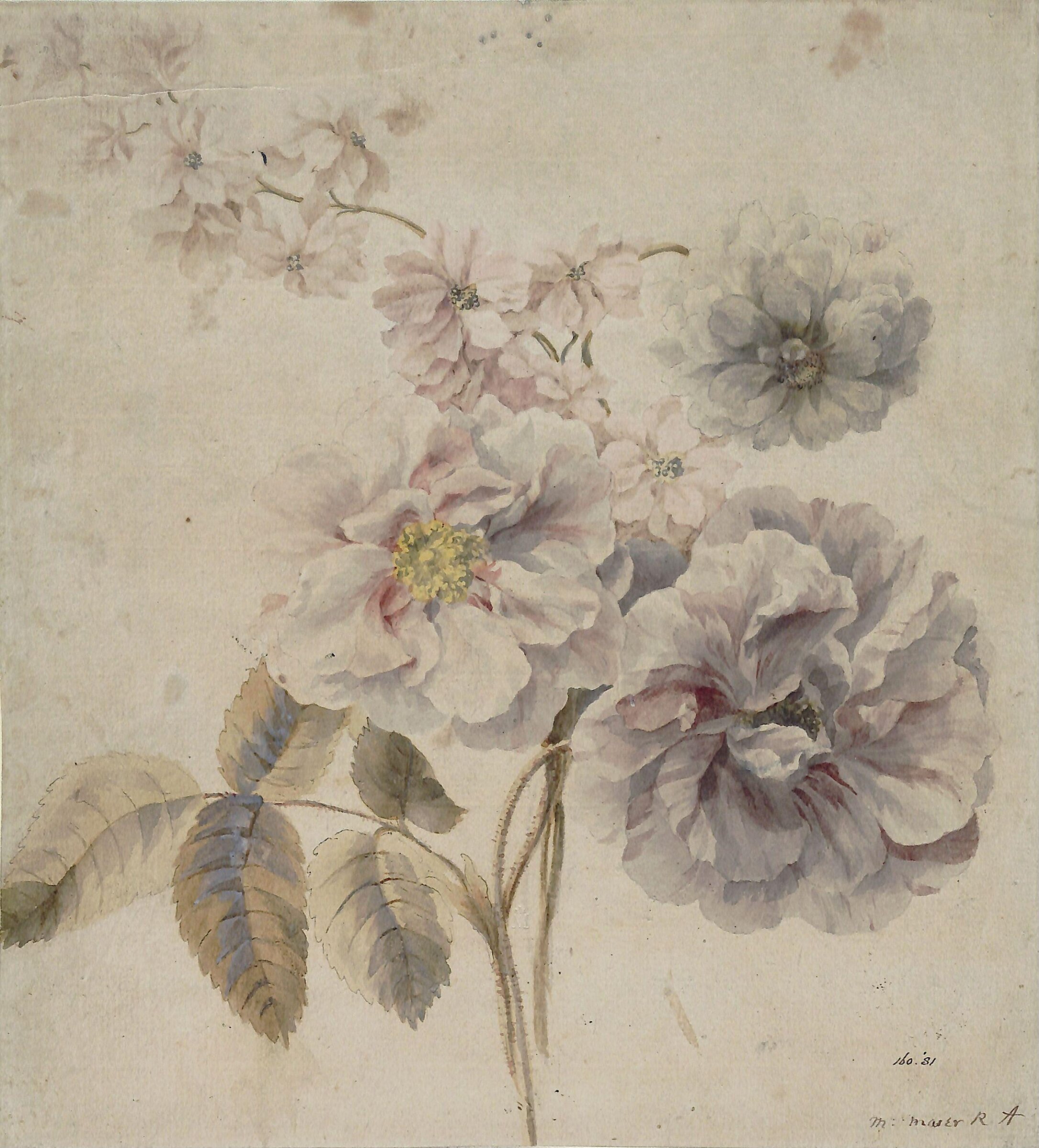 Roses, and other flowers, Mary Moser, ca. 1770-1819