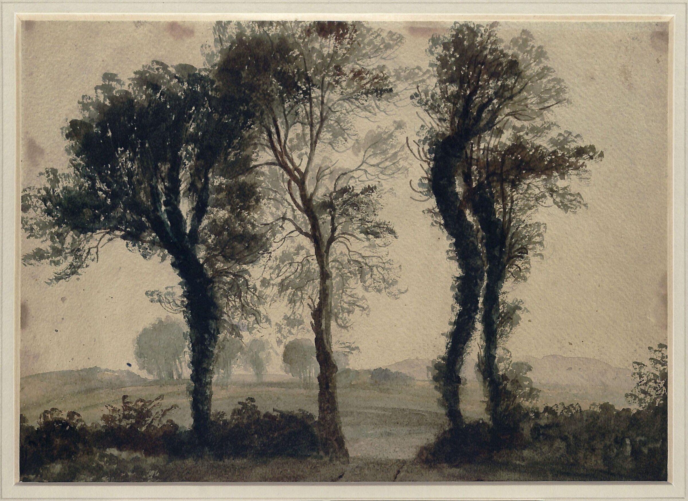Study of trees, Andrew Nicholl, ca. 1825-86