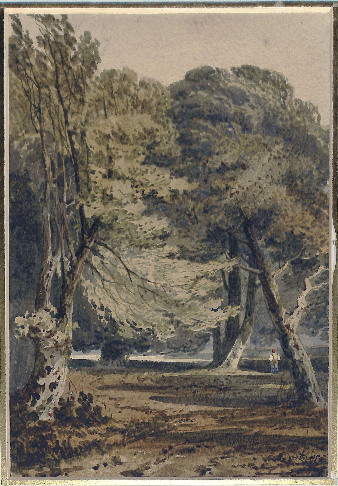 Woodland scene, Prout, ca. 1800-50