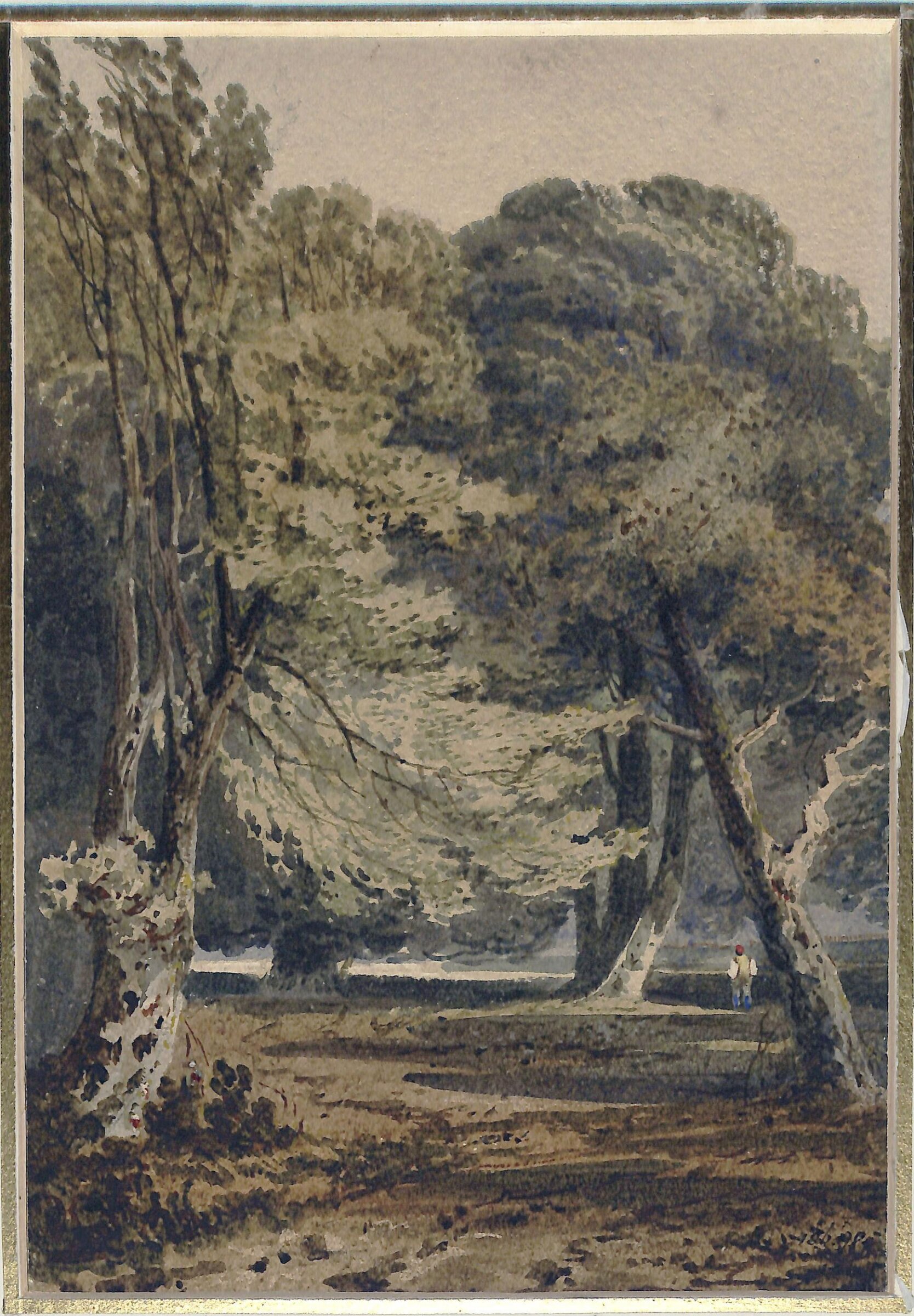 Woodland scene, Prout, ca. 1800-50
