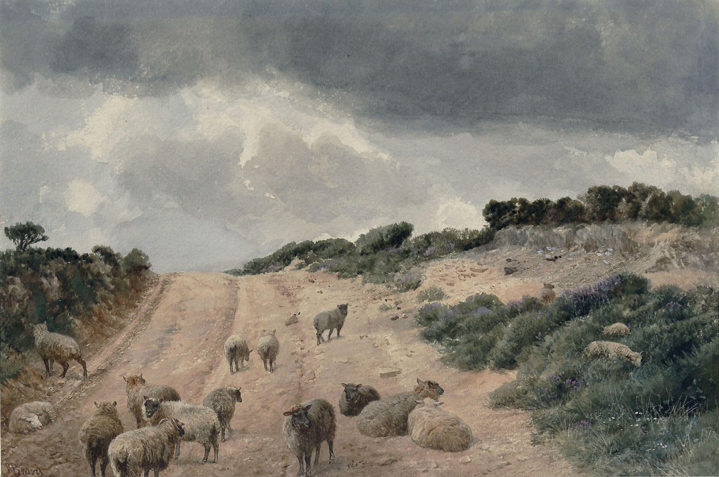 Sheep on the Surrey Hills, Richard Beavis, ca. 1844 - 1896