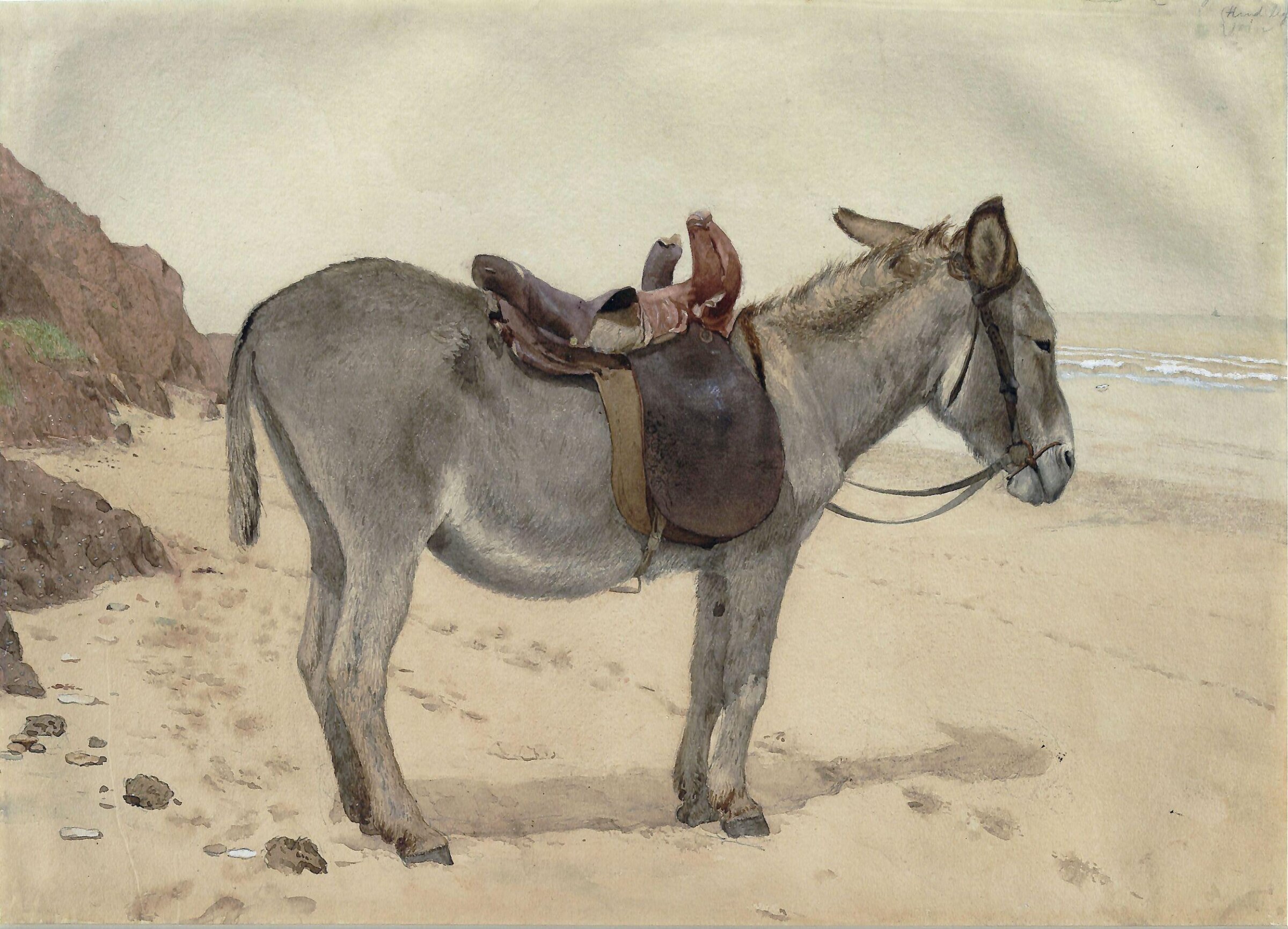 Studies of animals, Stephen Briggs Carlill, ca. late 19th century