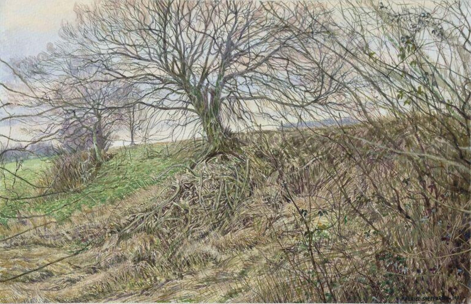 Ridge and Ditch, Kent, Maurice Sheppard, 1982