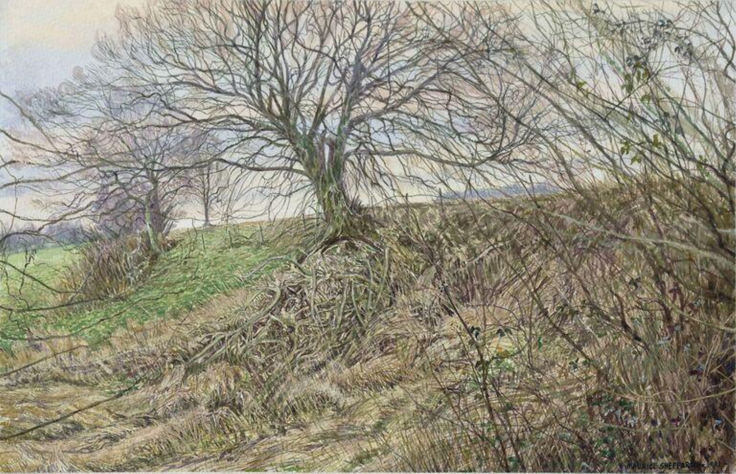 Ridge and Ditch, Kent, Maurice Sheppard, 1982