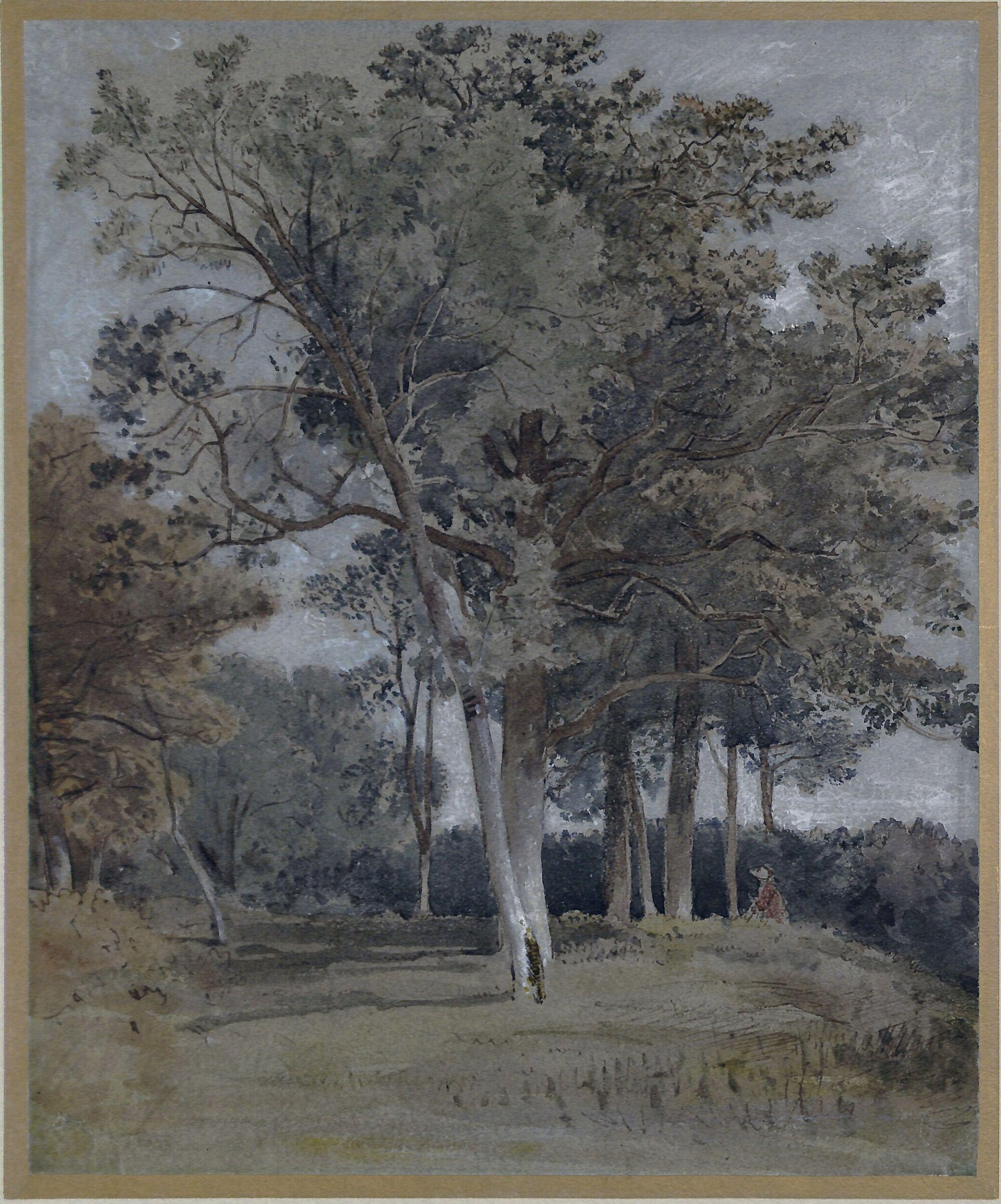Study of trees at Ballater, Aberdeenshire, Andrew Wilson, ca. early 19th century