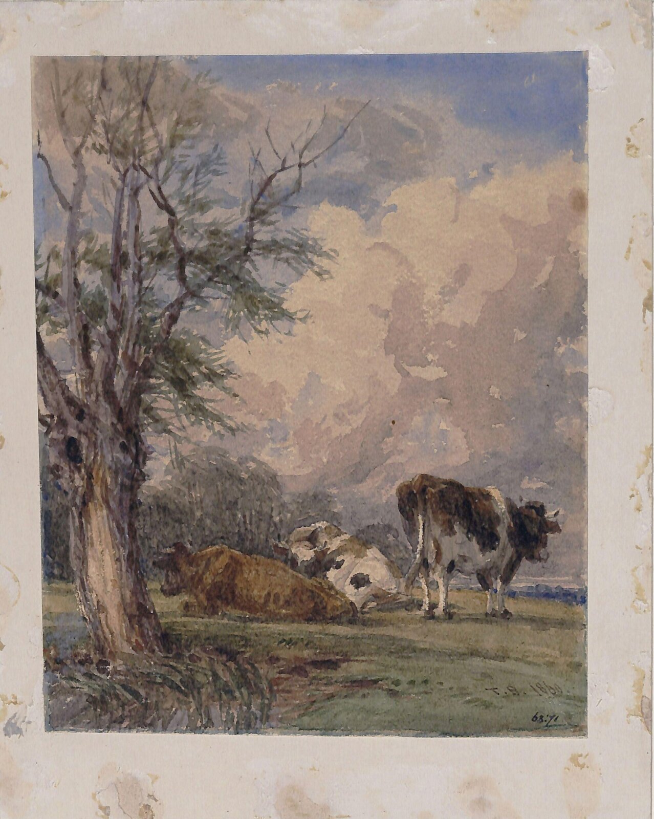 A Study of Cattle, Thomas Baker, 1860