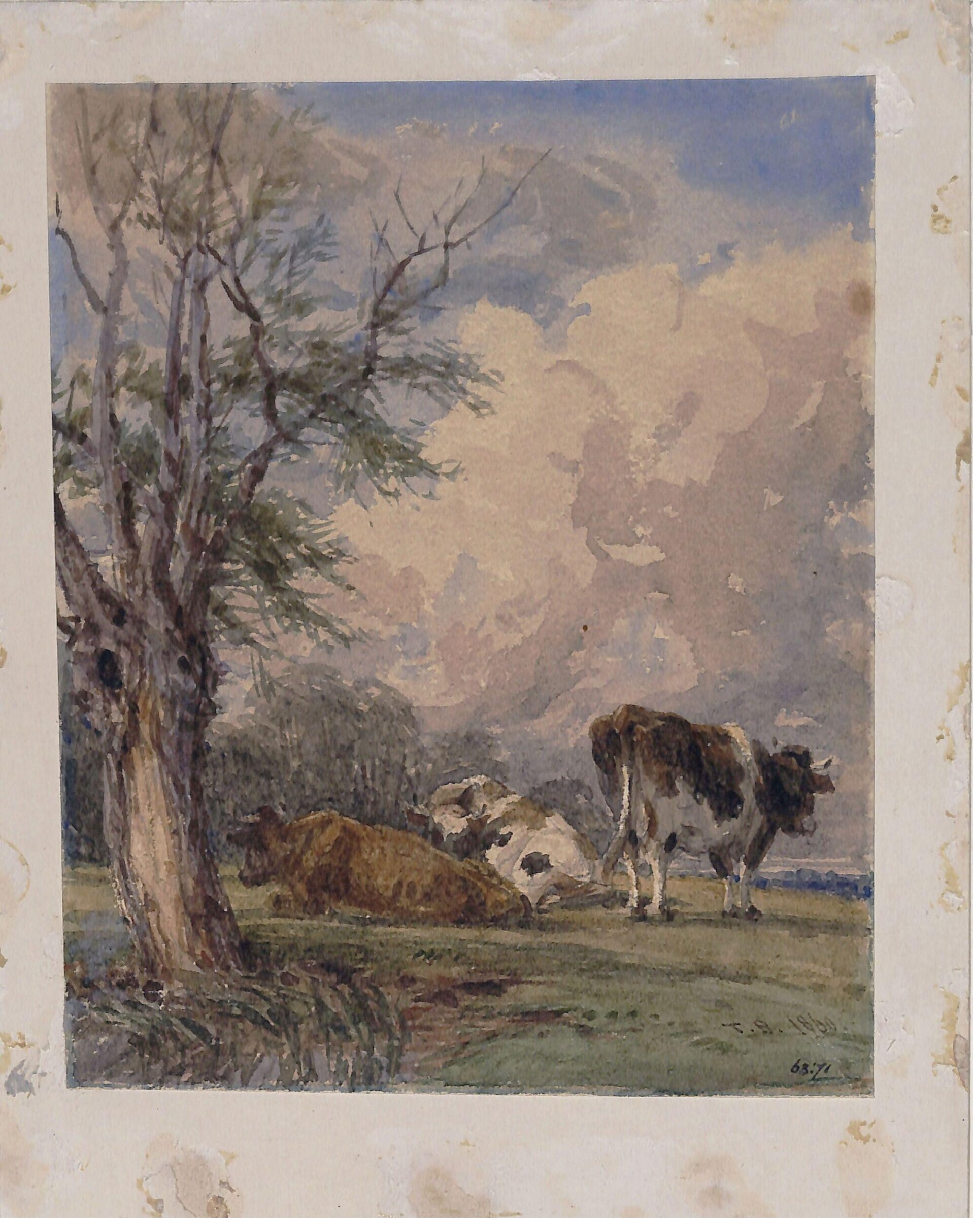 A Study of Cattle, Thomas Baker, 1860