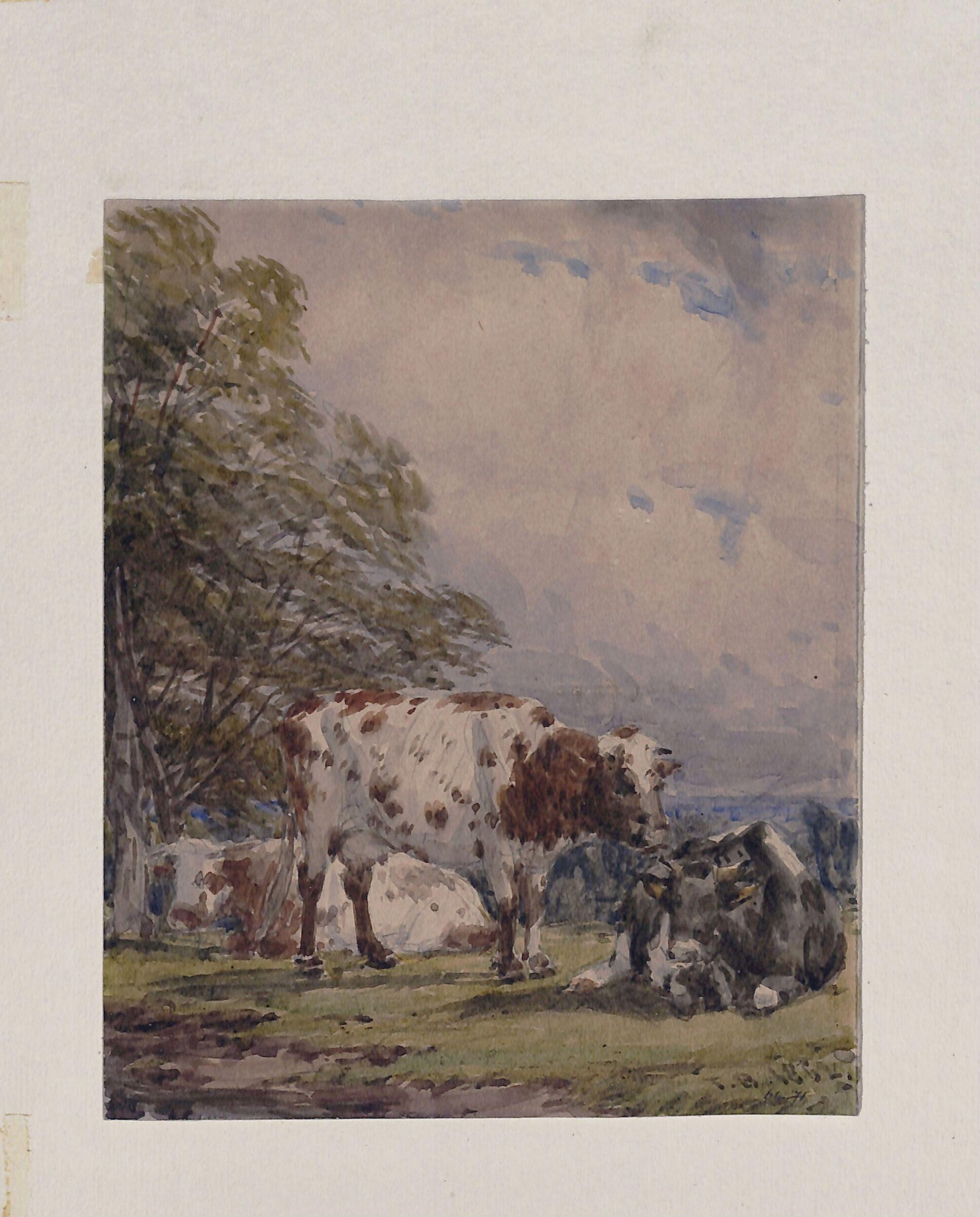 A Study of Cattle, Thomas Baker, 1862
