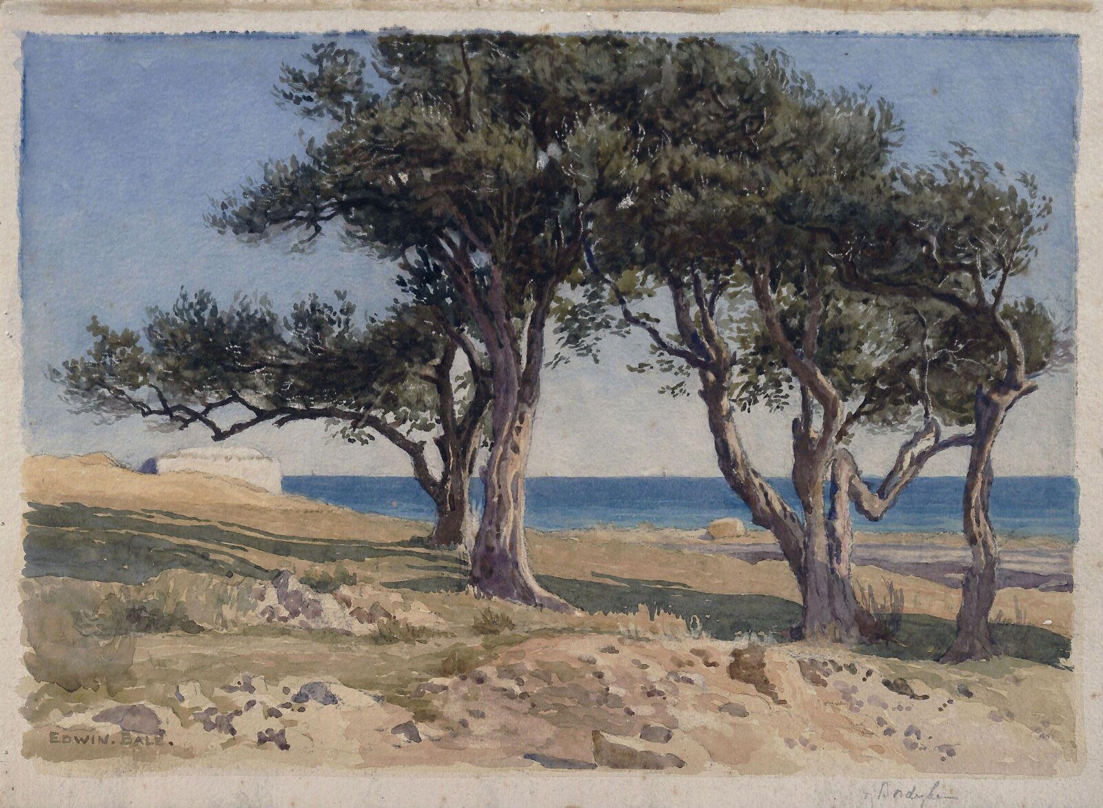 Old Olive Trees, Bordighera, Edwin Bale, ca. 1860-1900
