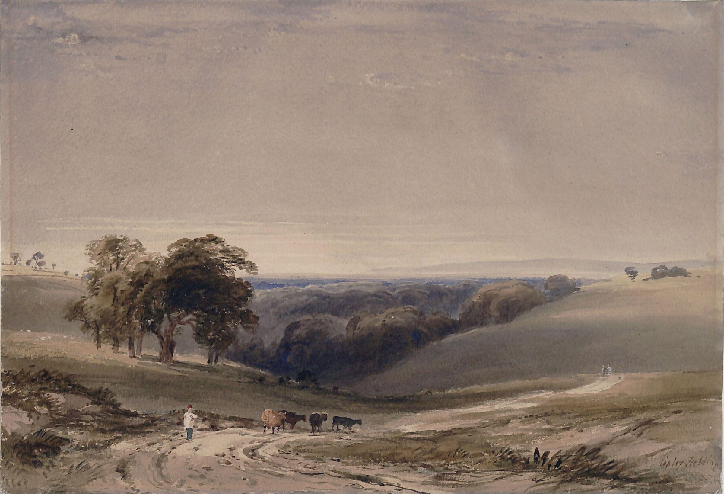 Ecclesbourne Glen, Copley Fielding, 19th century