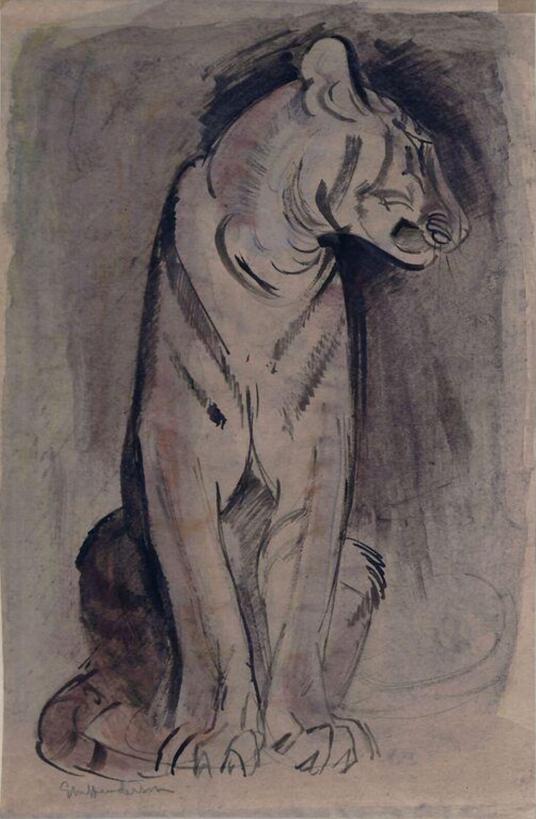 Tiger, Elsie Marian Henderson, ca. 1920-1935