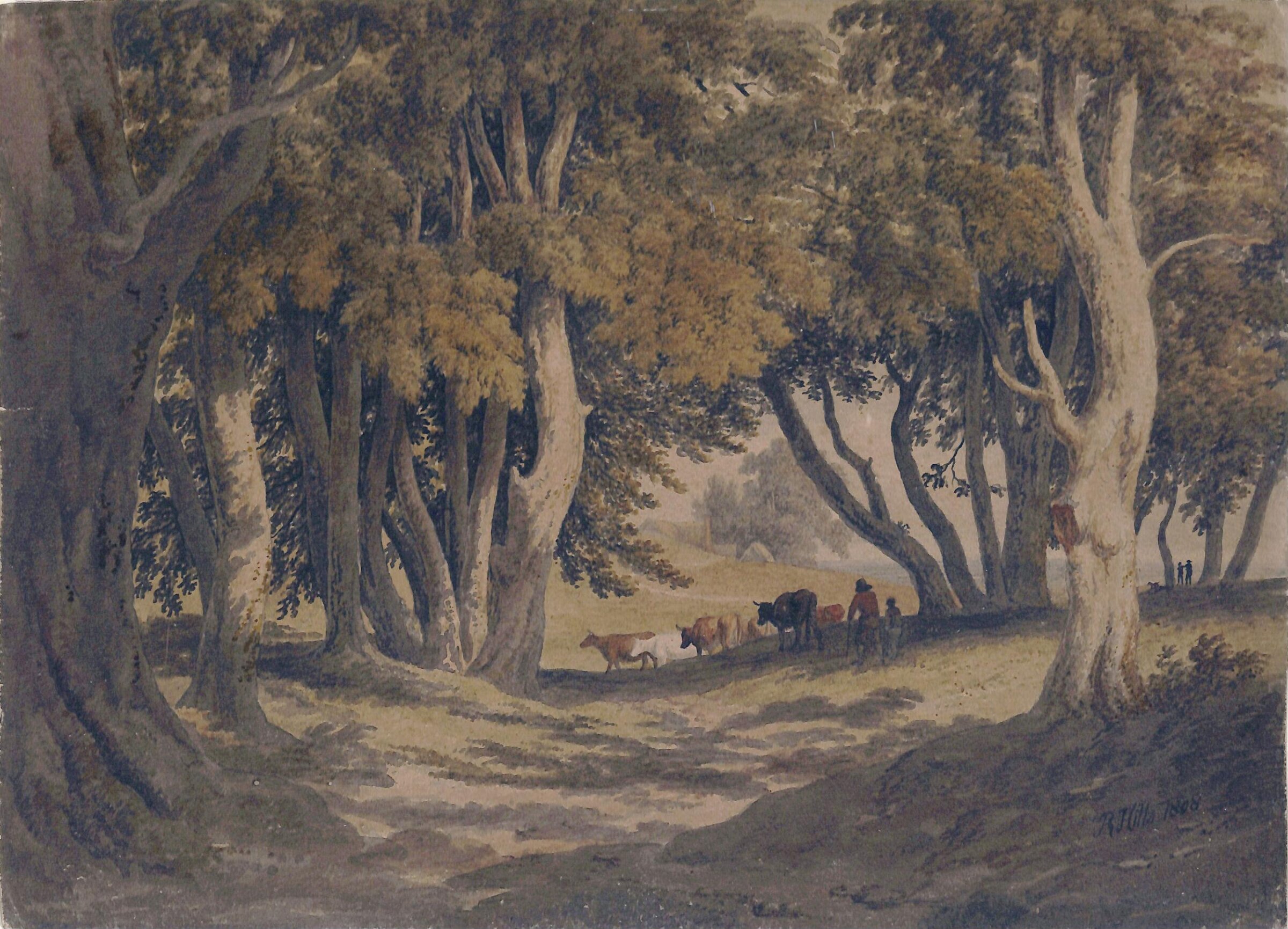 Woodland Glade with Cattle, Robert Hills, ca. 1790-1844