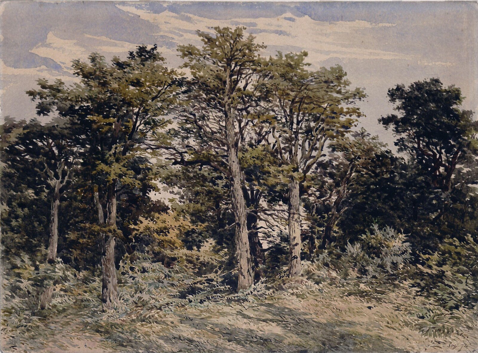 Study of trees, Pyne, ca. 1825-78