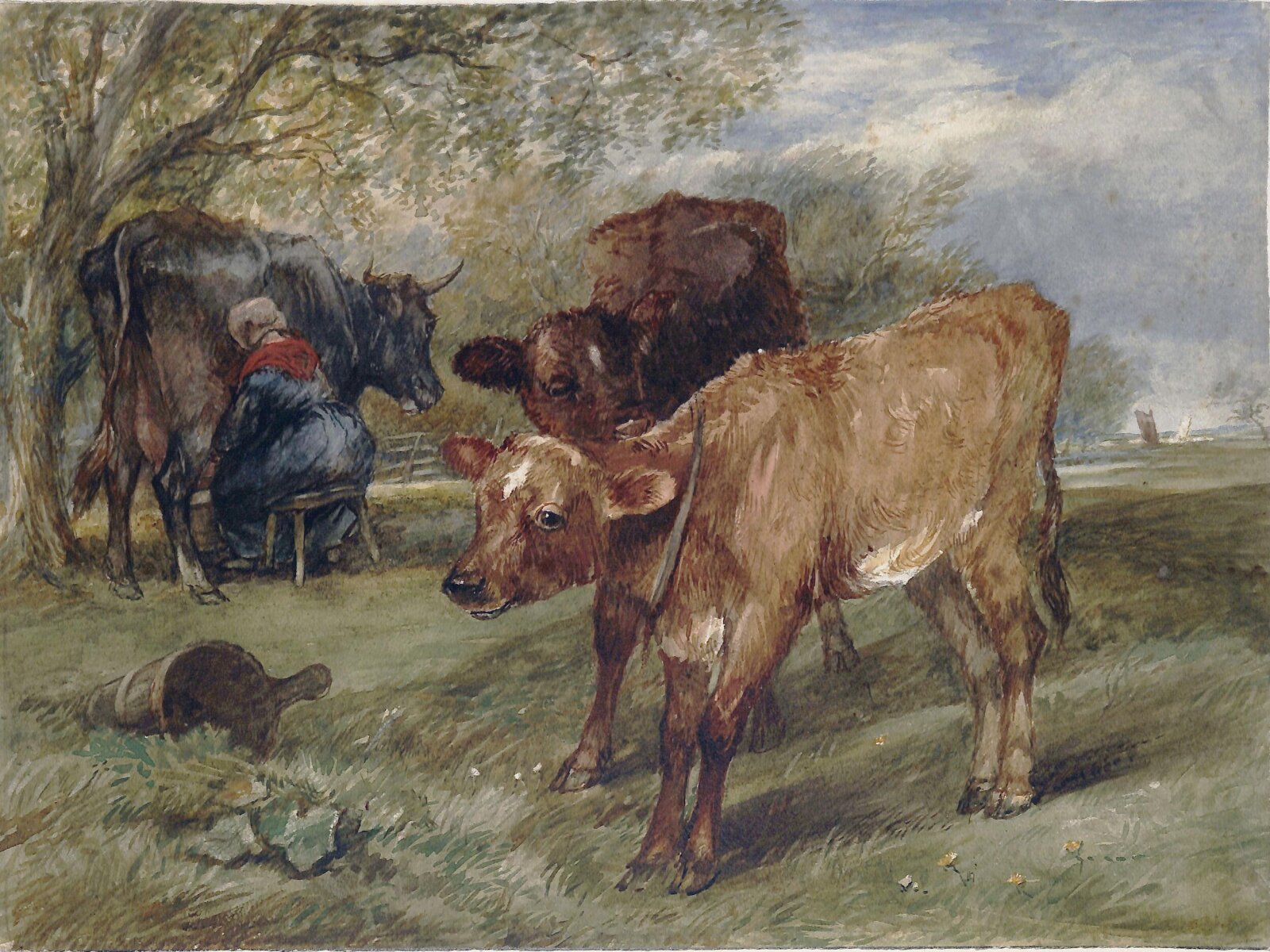 Calves, Arthur James Stark, ca. 1850-1900