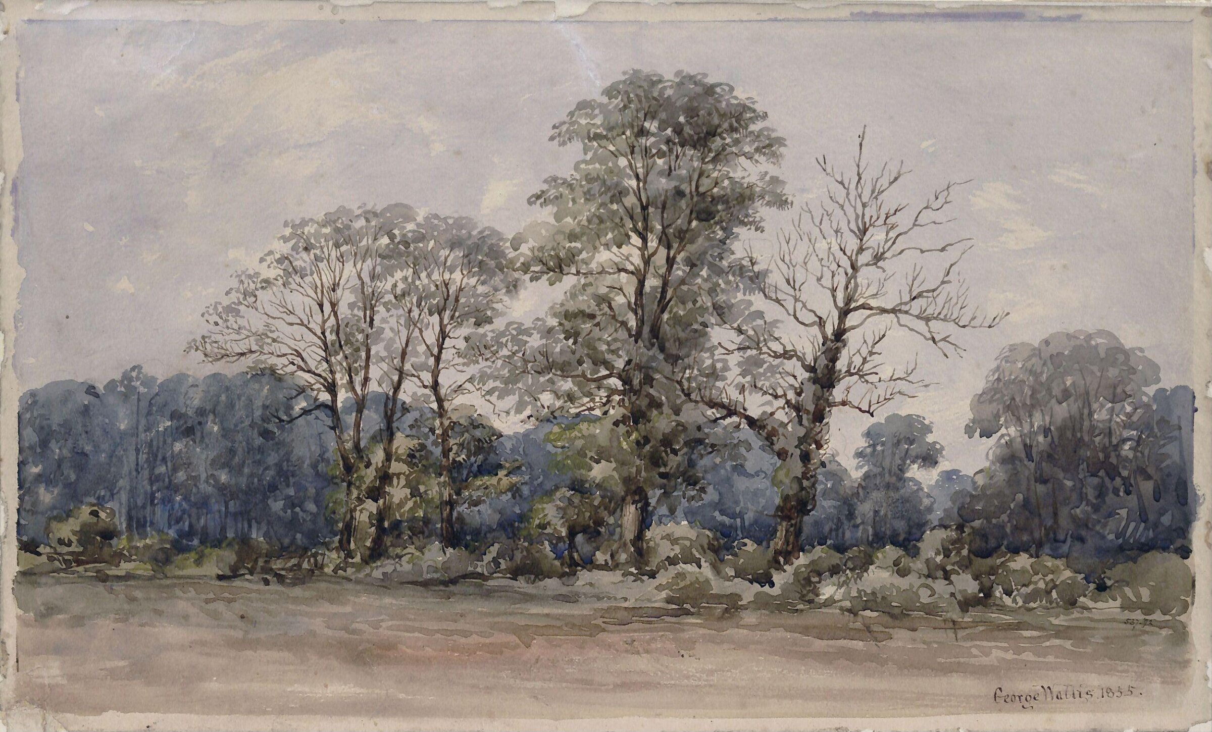 Trees at Perry Bar, near Birmingham, George Wallis, 1855