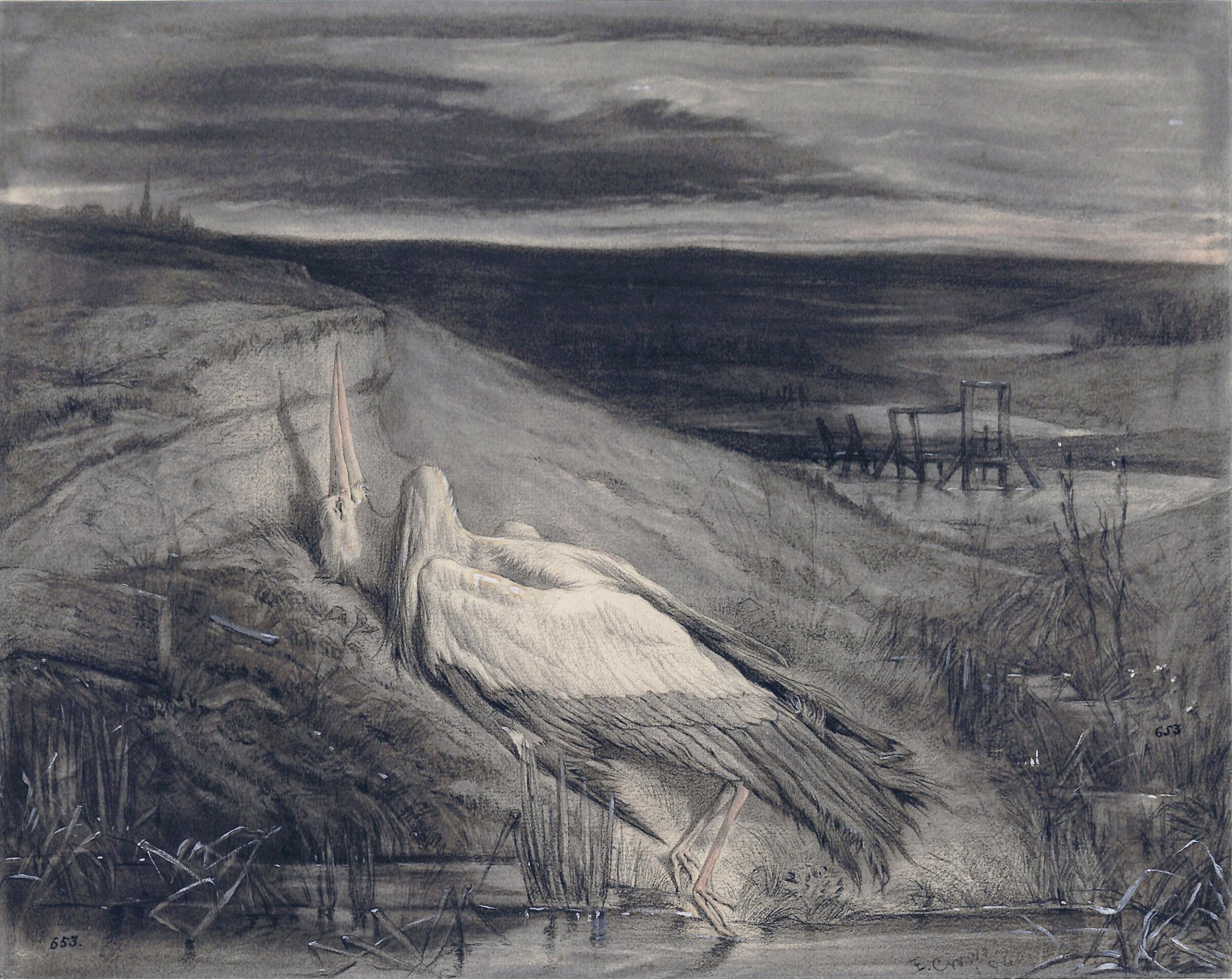 A dead stork on the bank of a stream, Eyre Crowe, 1860