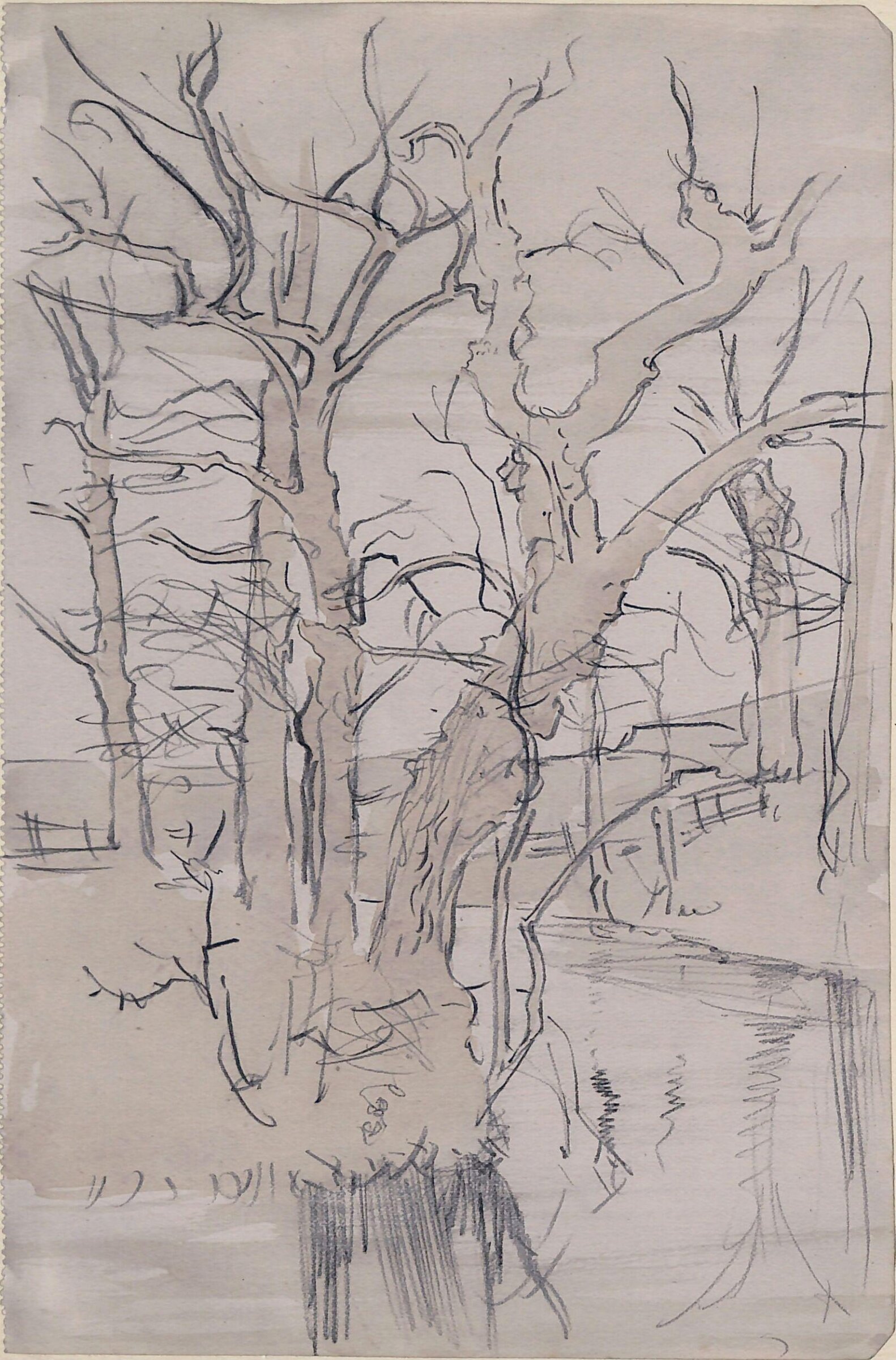 Sketch of trees by a river, Arthur Rackham, c. 1880 - 1939