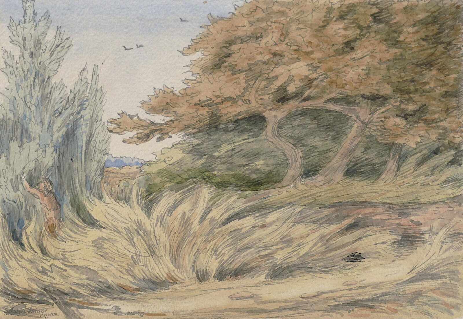 Rank Grass - Epping Forest, Selwyn Image, 1903