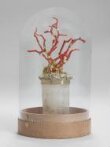 Tudor Glass with Coral Reef thumbnail 2