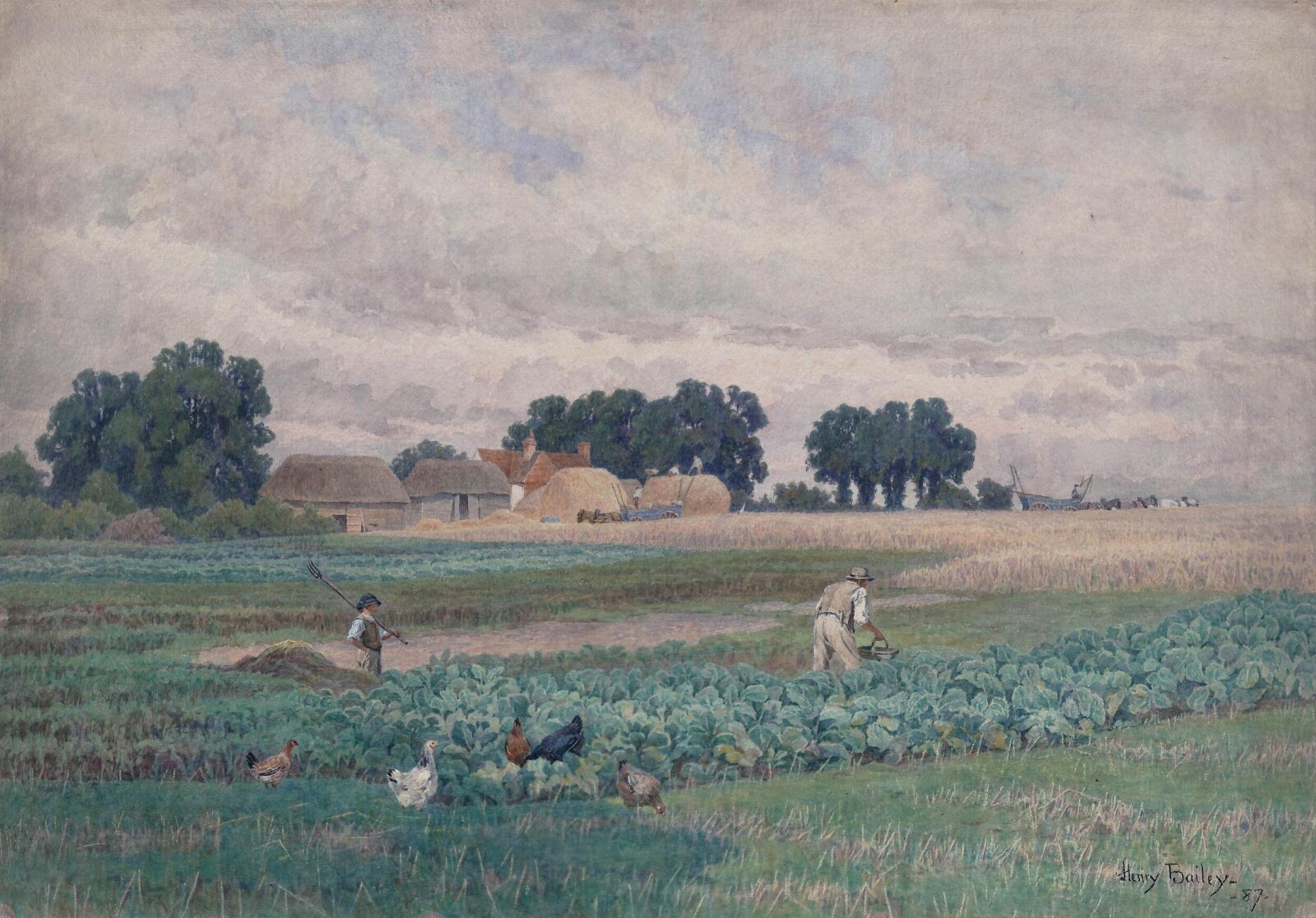 Cabbage field and farm, Henry Bailey, 1887