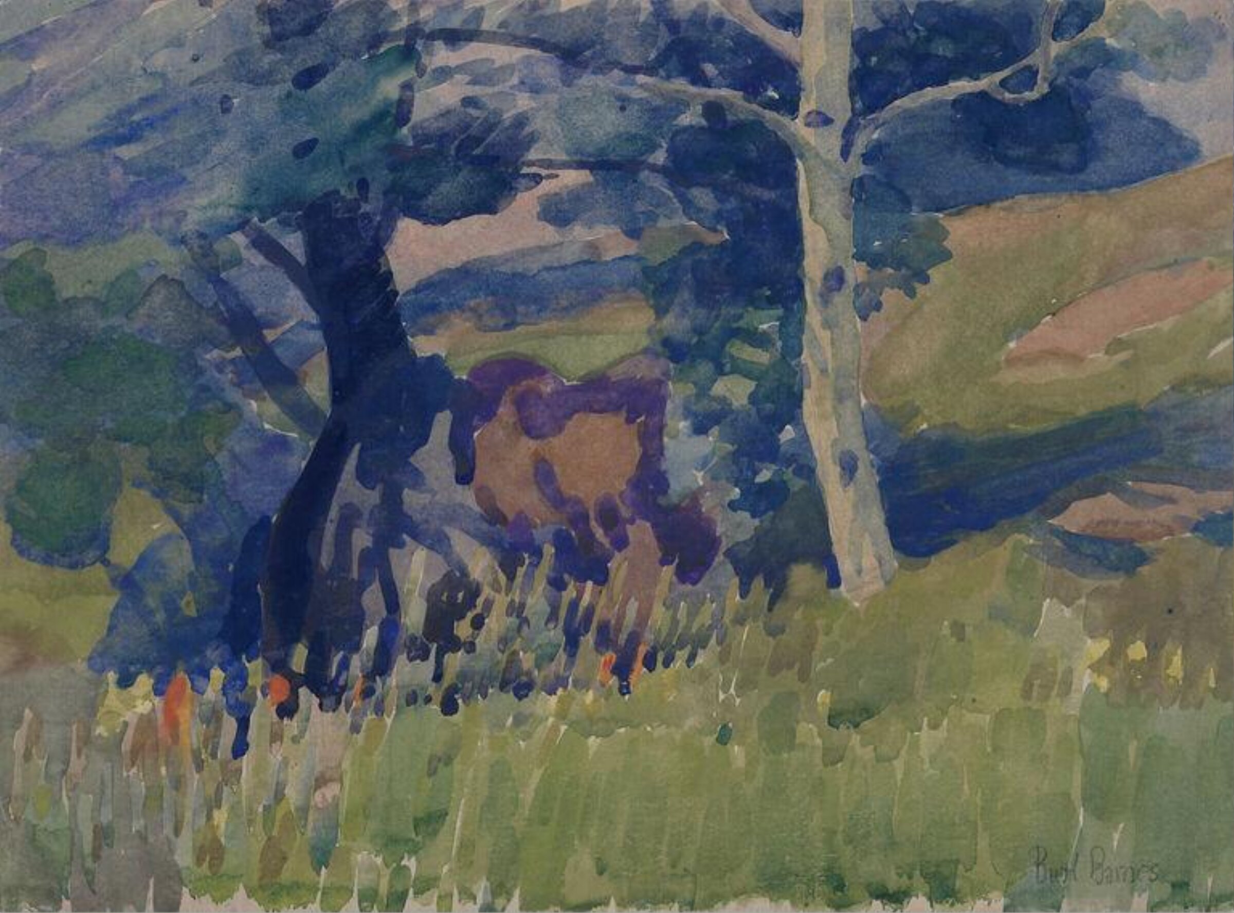 Wildflowers, Burt Barnes, ca. 1920