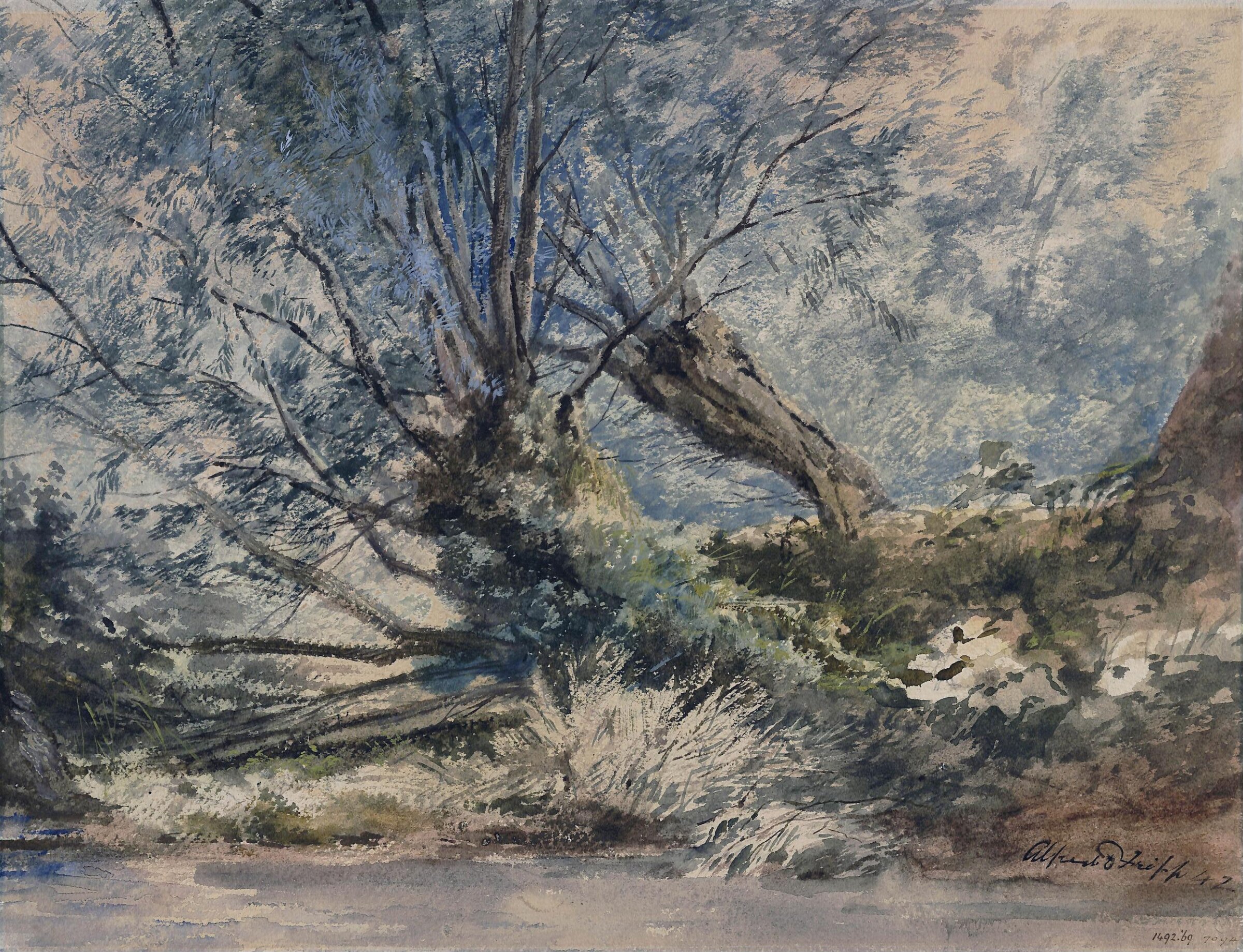 Wood scene, Fripp, 1841