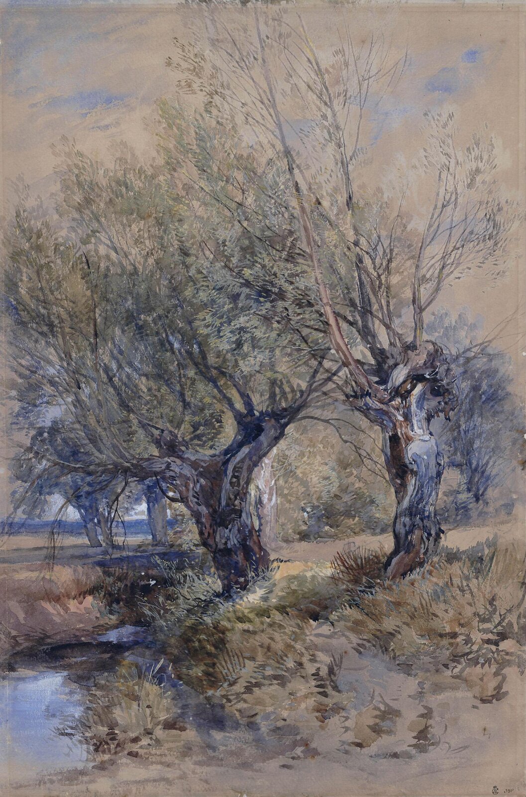 Pollards in Windsor Meadows, Harding, ca. early 19th century