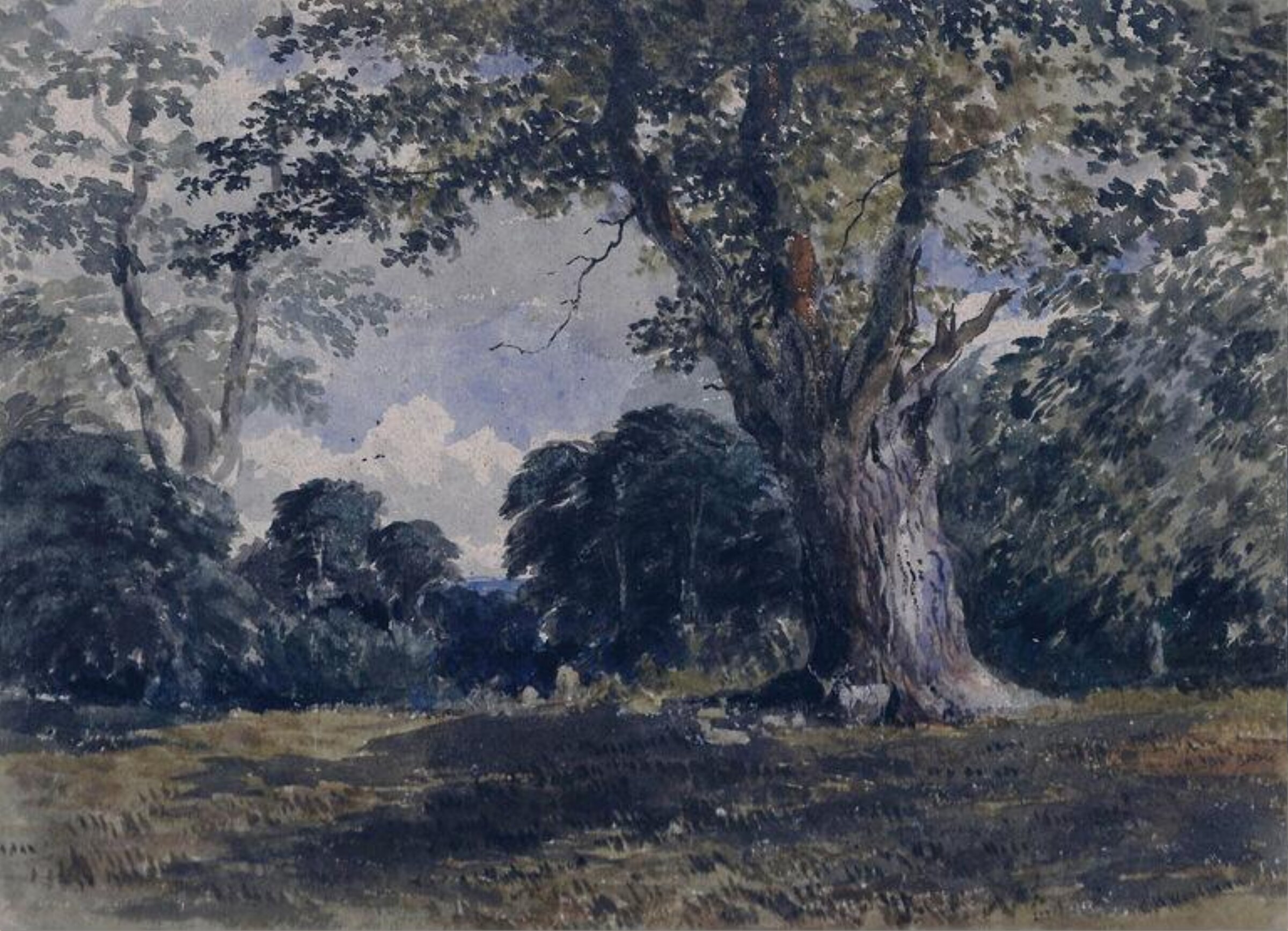 Deer In Richmond Park, Charles Henry Woodman