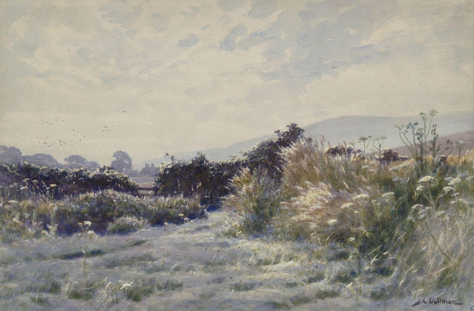 Dew, Dollman, ca. 1875-1930