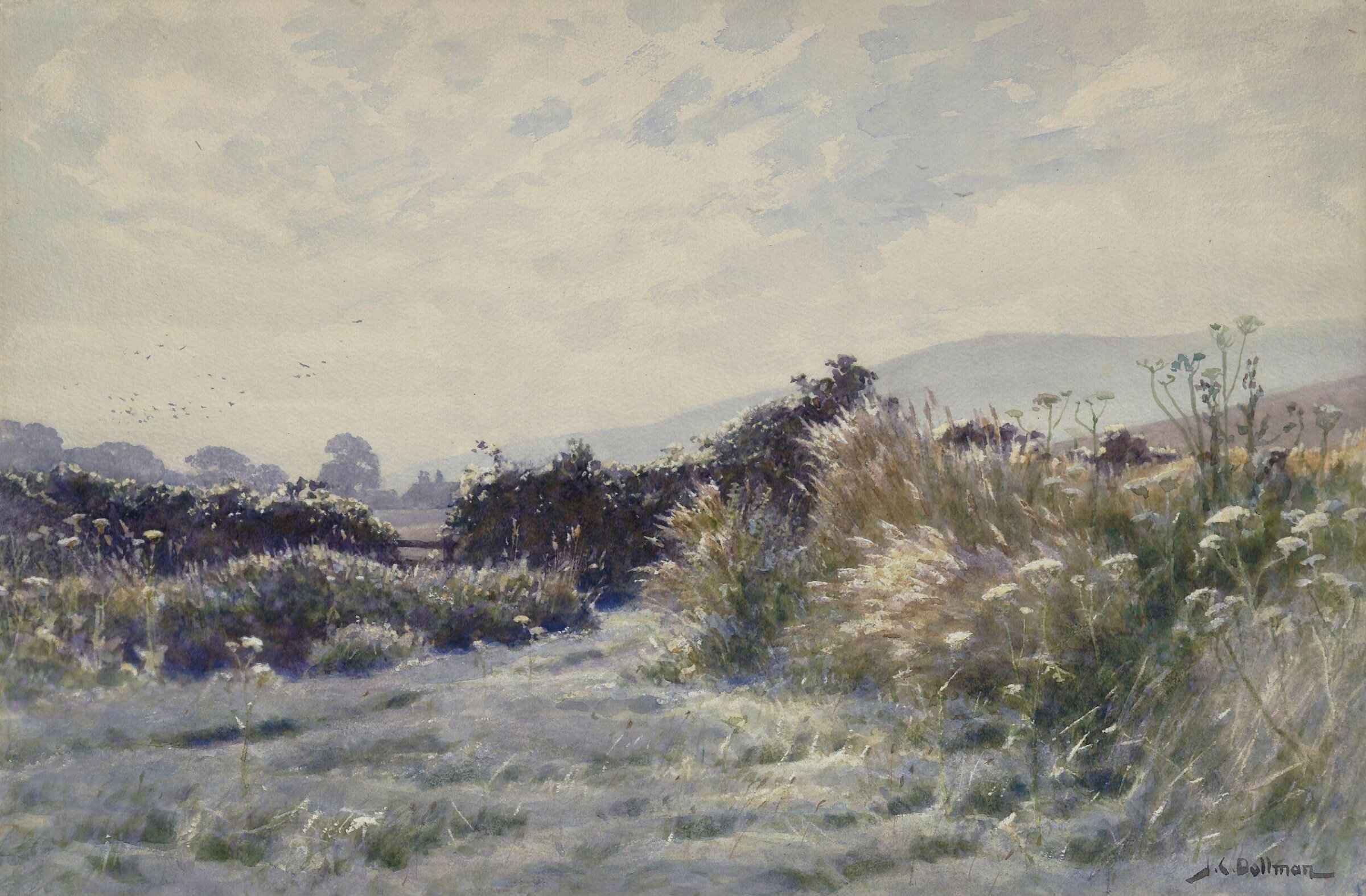 Dew, Dollman, ca. 1875-1930