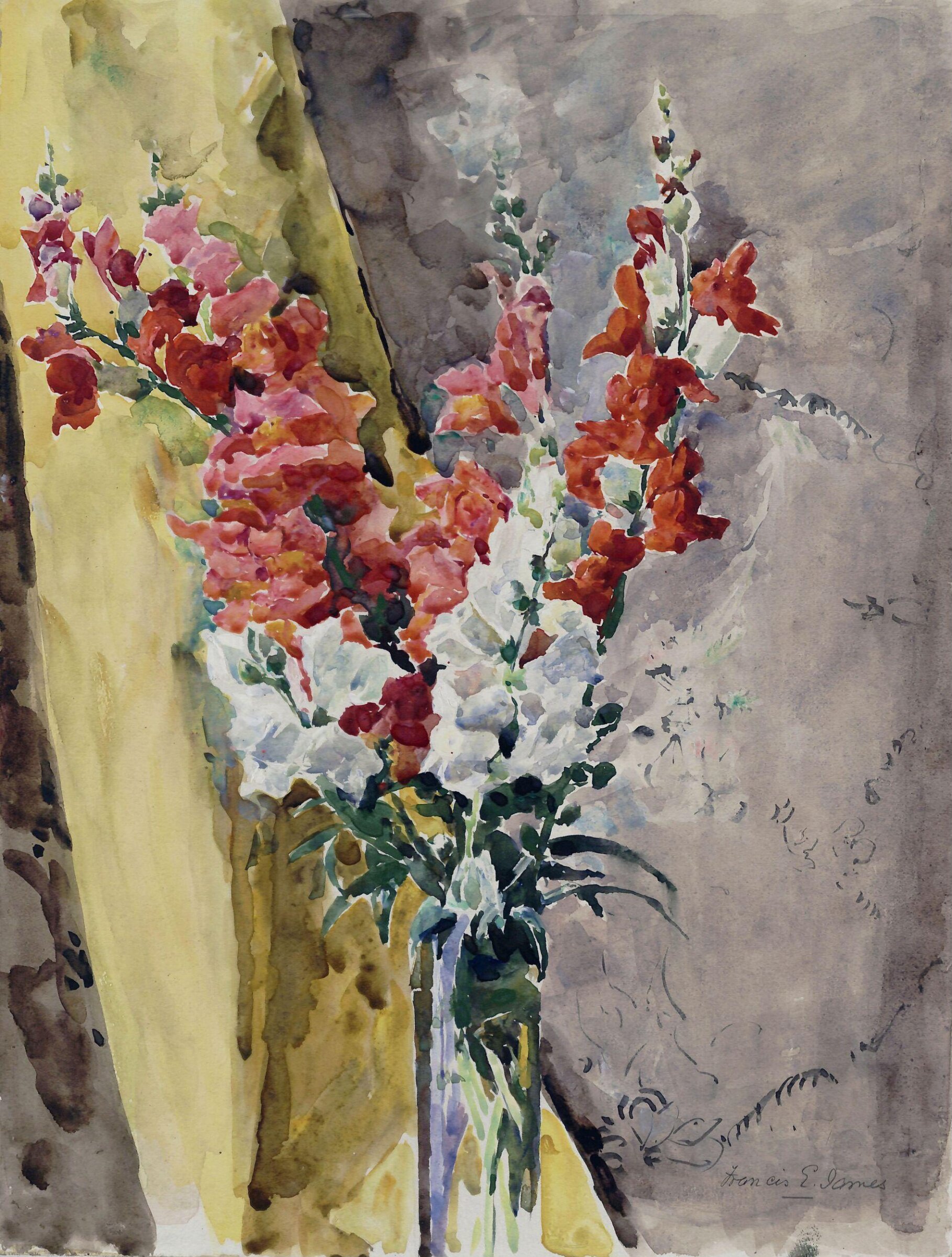 Antirrhiniums by a Yellow Curtain, Francis Edward James, ca. 1870-1920