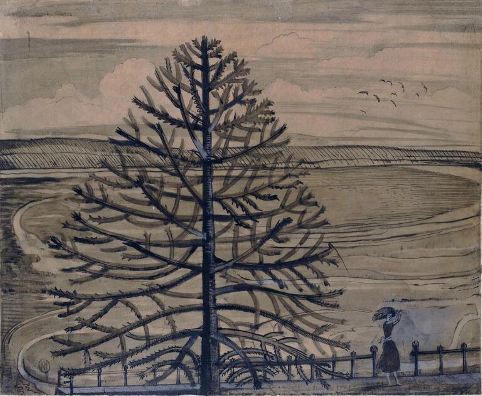The Monkey Tree, Paul Nash, 1st half of 20th century