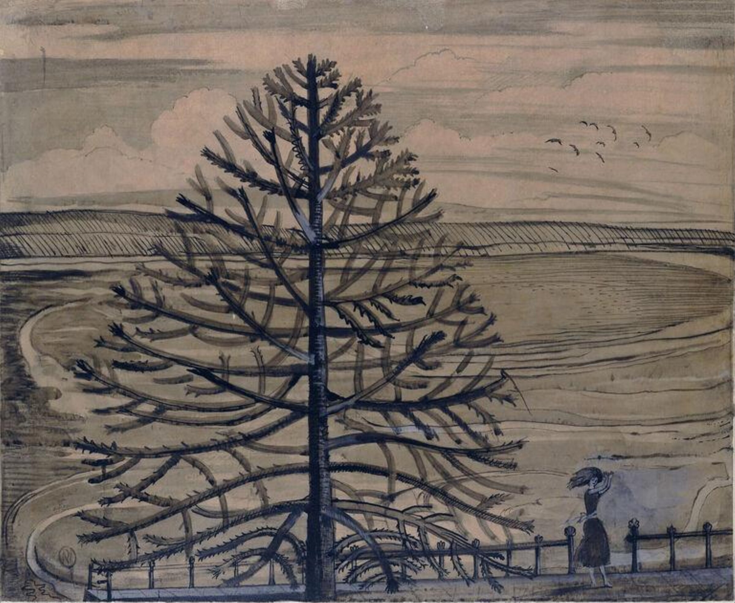 The Monkey Tree, Paul Nash, 1st half of 20th century