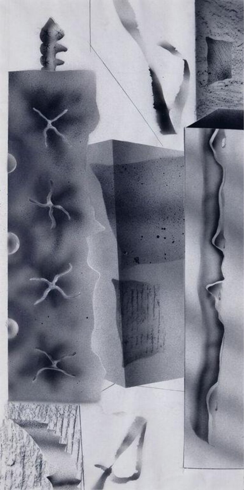 Marine, John Alexander Parks, ca.1976