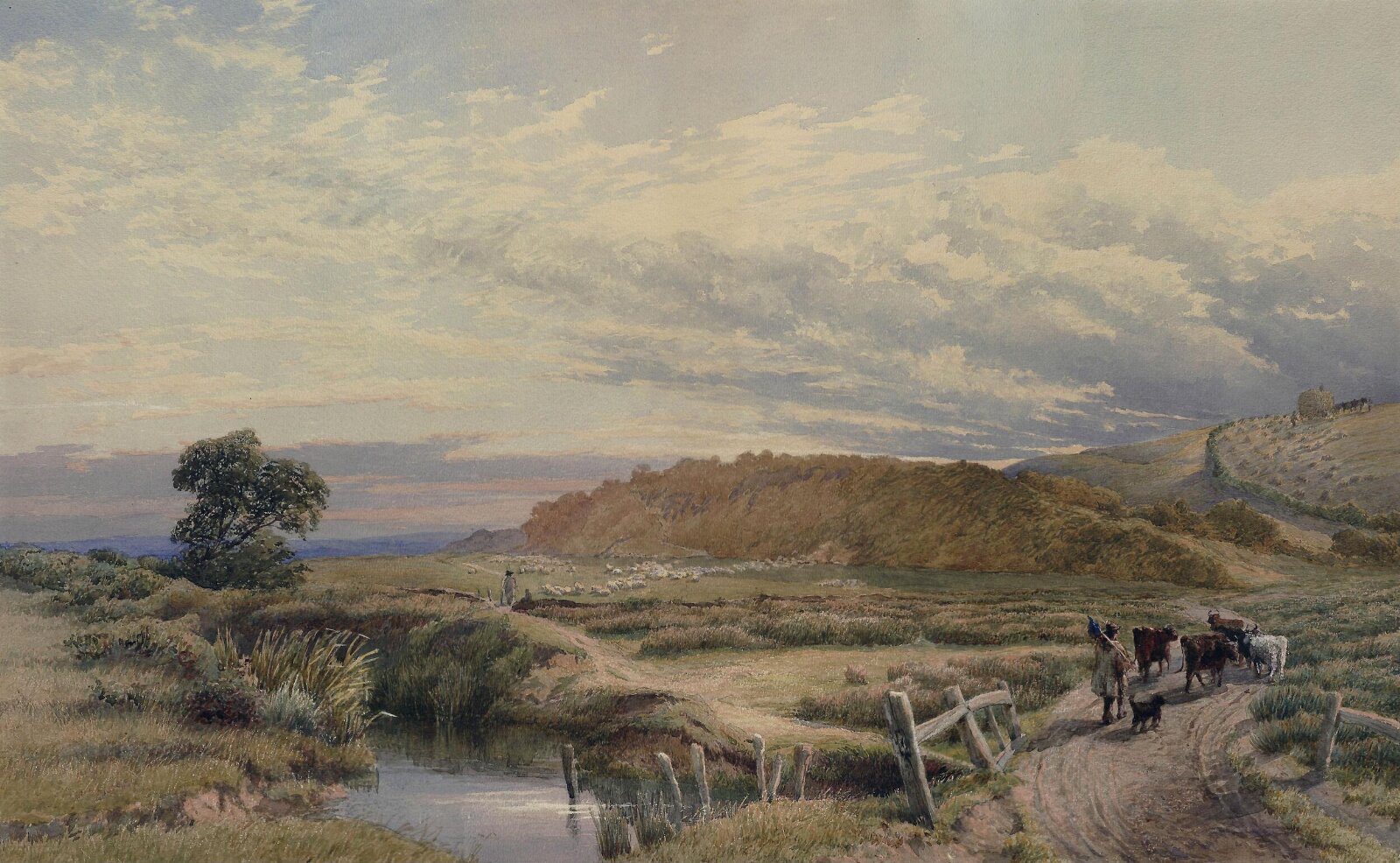 On the Hill at St. Leonards, Davidson, ca. late 19th century