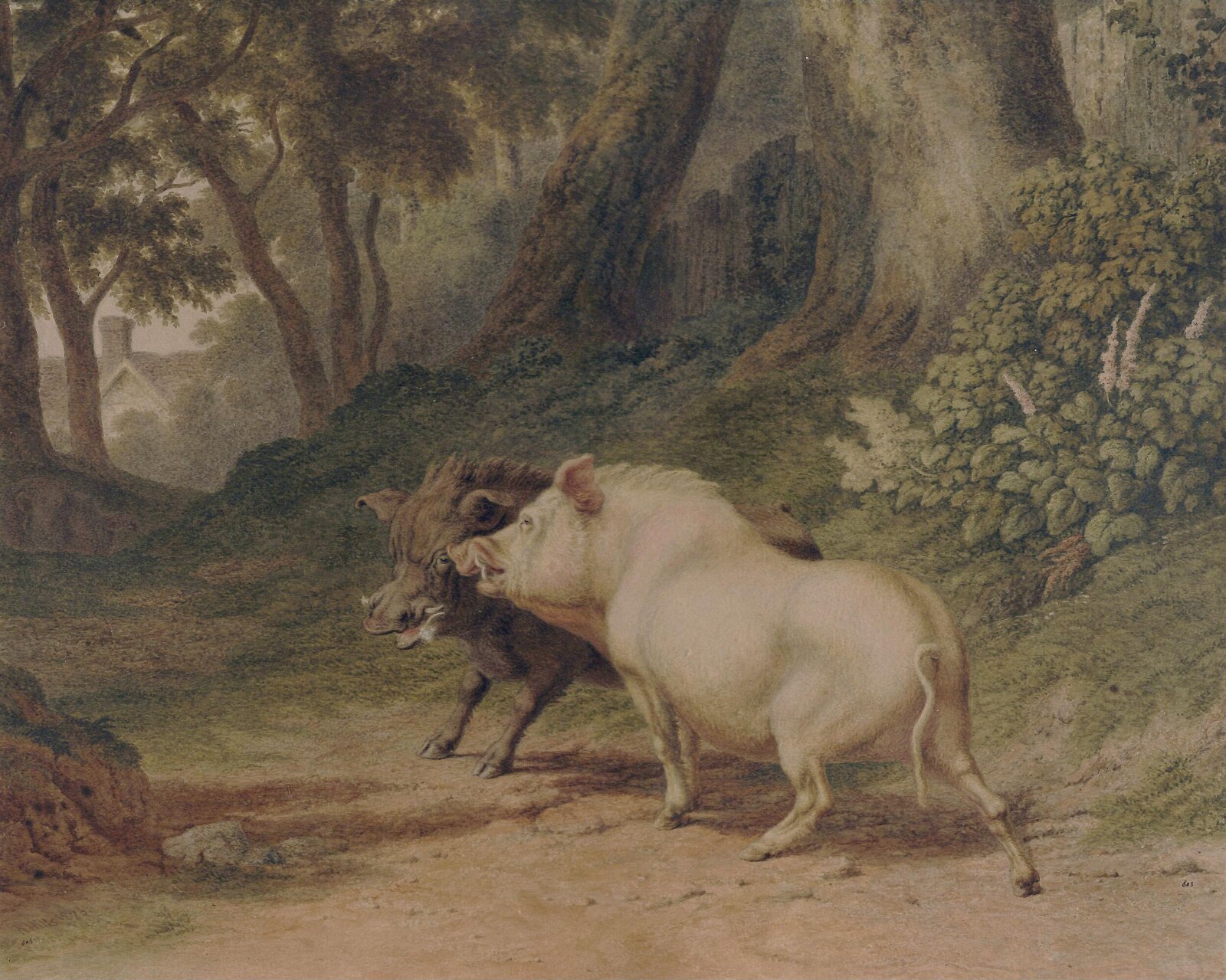 Two wild boars in a wood, Robert Hills, 1826