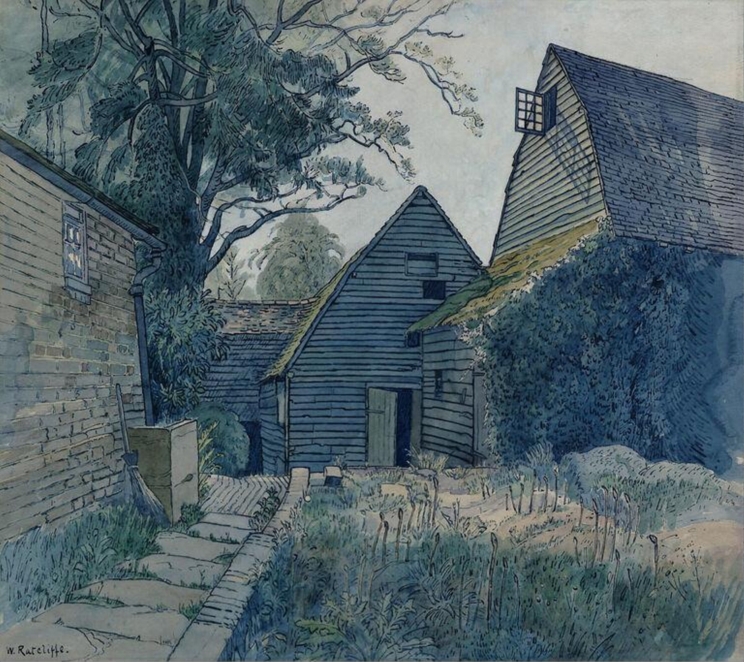 Asparagus Bed, Worth, Sussex., William Ratcliffe, late 19th century-early 20th century