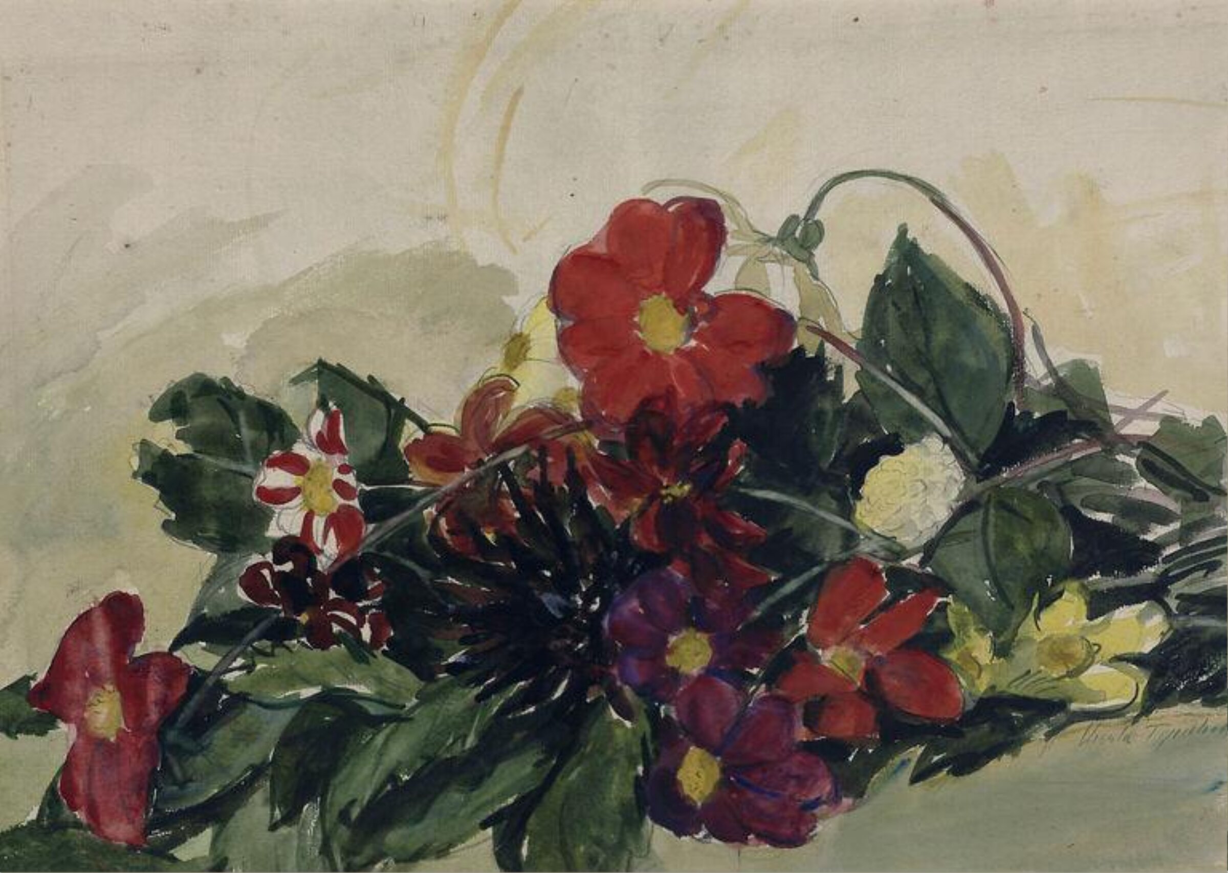 Single Dahlias, Ursula Tyrwhitt, ca. 1900-1930