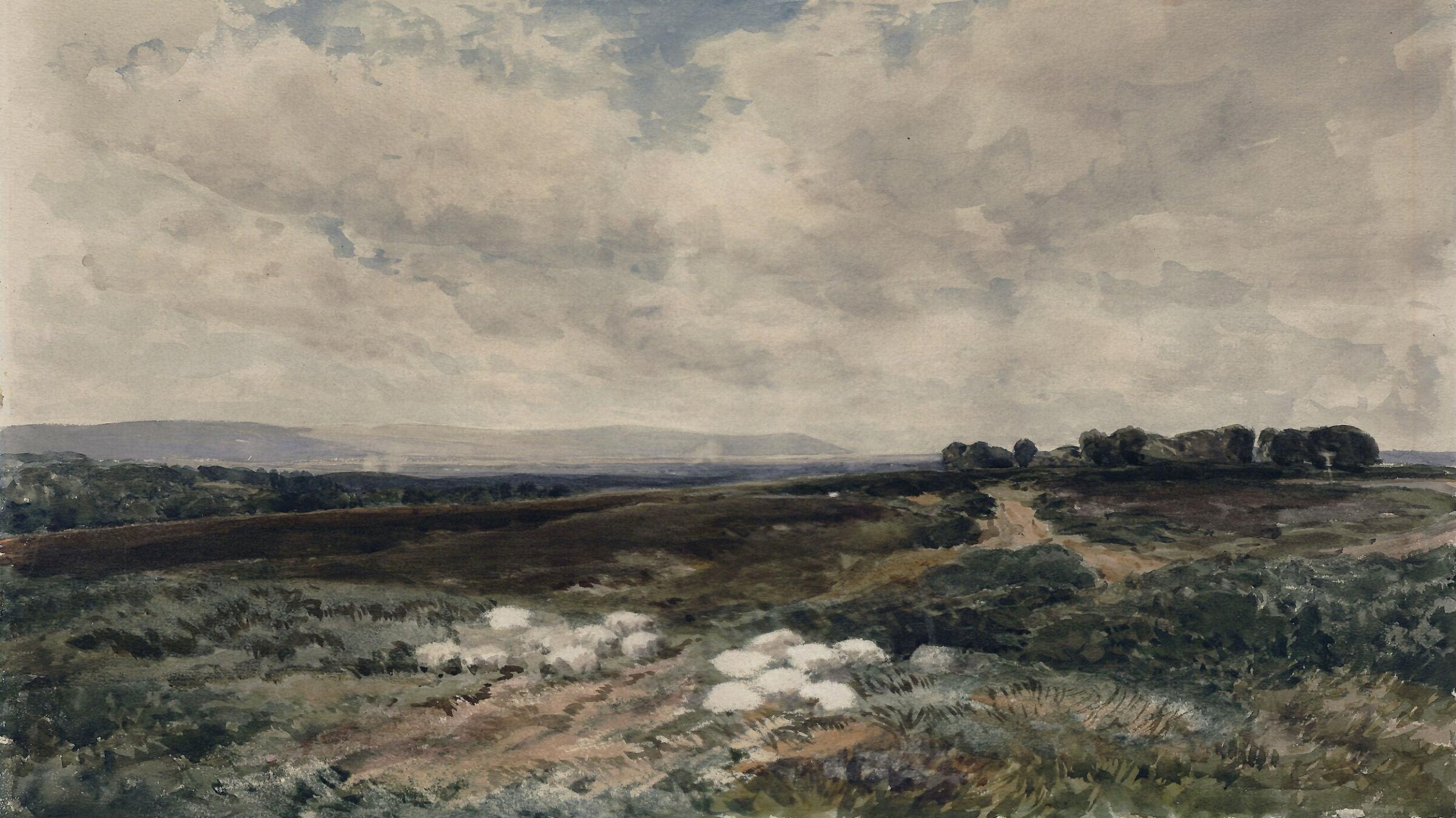 Sheep on a Common, Edmund Morison Wimperis, 1884