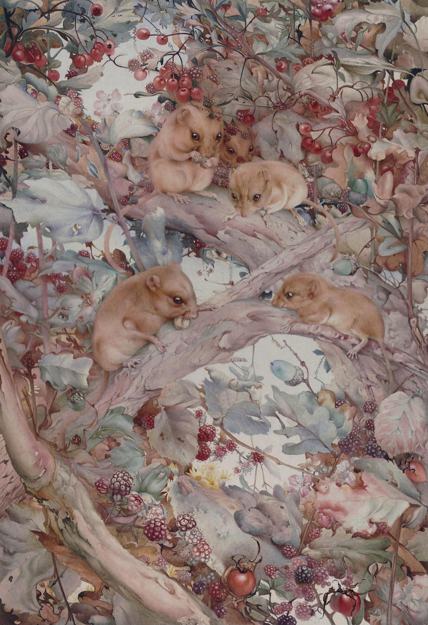 Dormice among brambles, Edward Julius Detmold, 1918