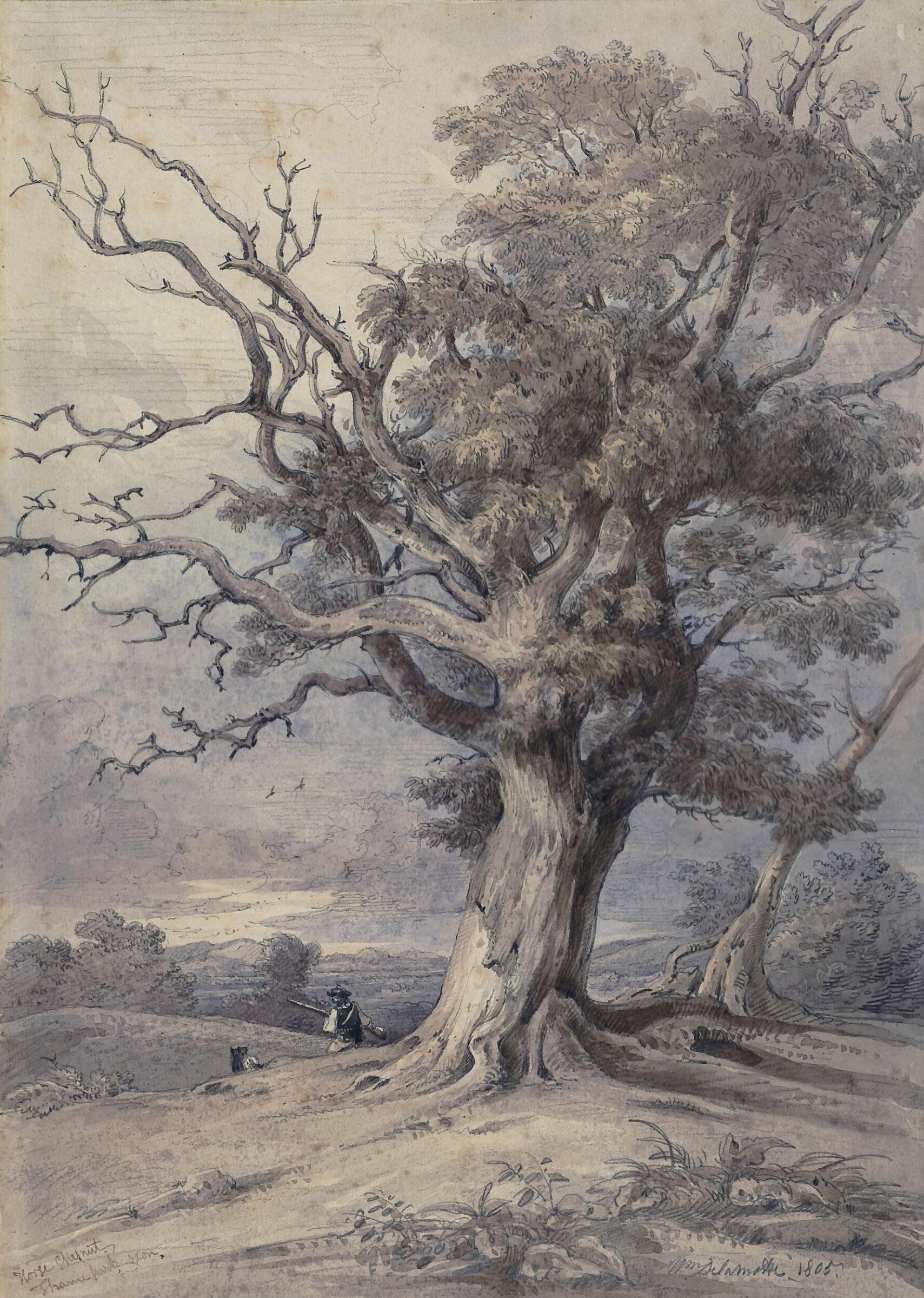 Horse Chestnut, Thame Park, Oxon, William Alfred Delamotte, 1805