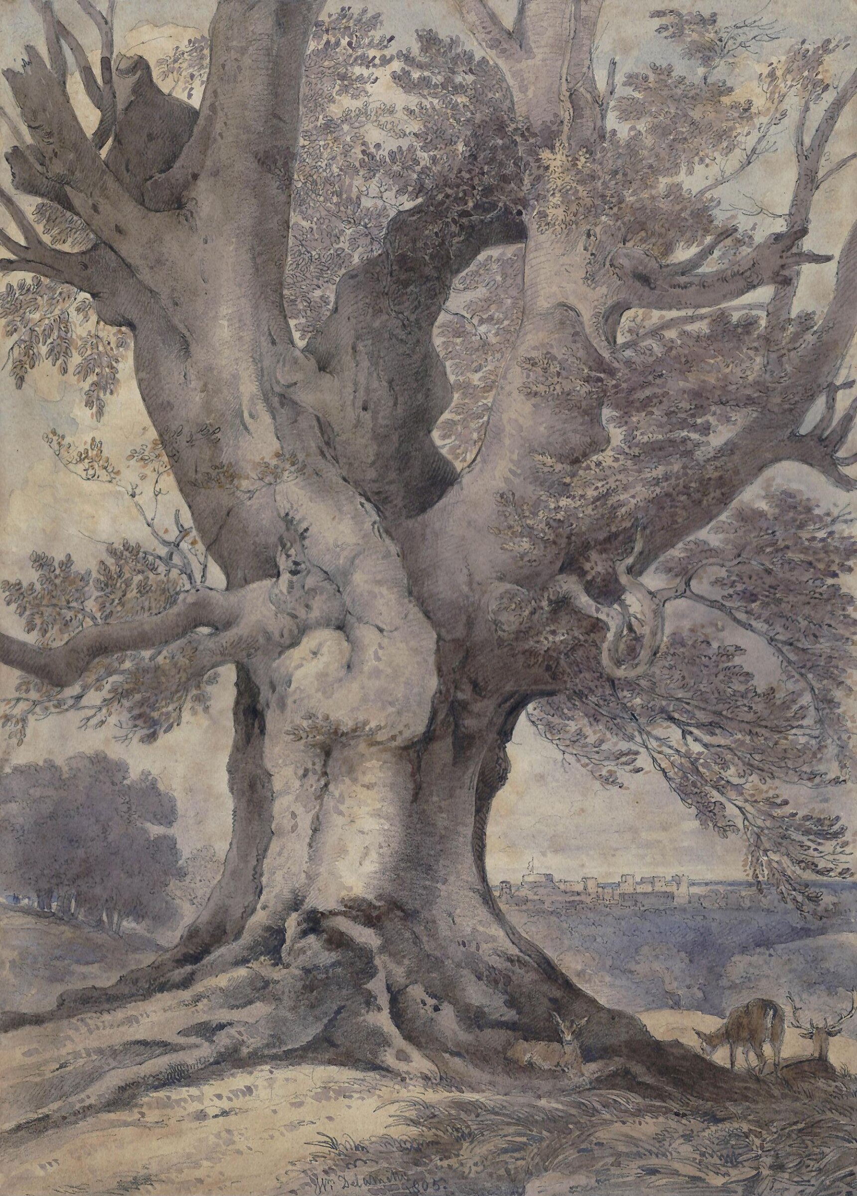 A Beech Tree: Windsor Castle in the Distance, William Alfred Delamotte, 1805